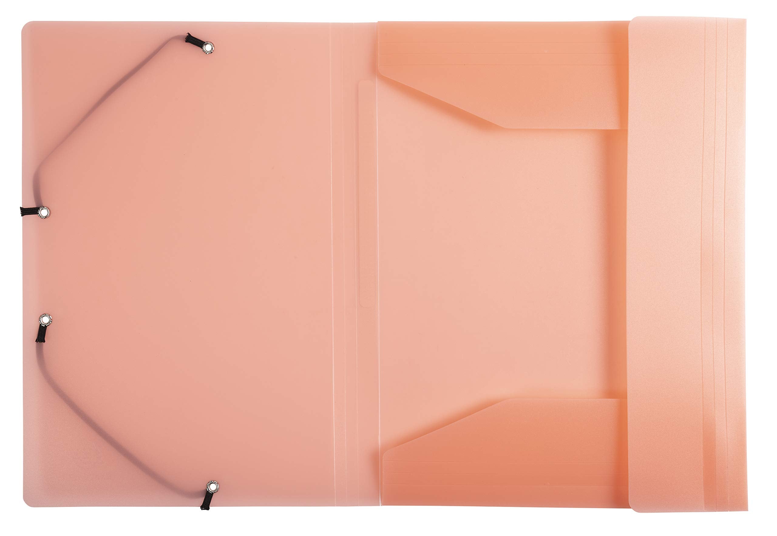 Exacompta Chromaline 55170E Elasticated 3-Flap File Folders | A4, 250 Sheets, Pack of 5 Pastel Colours 9