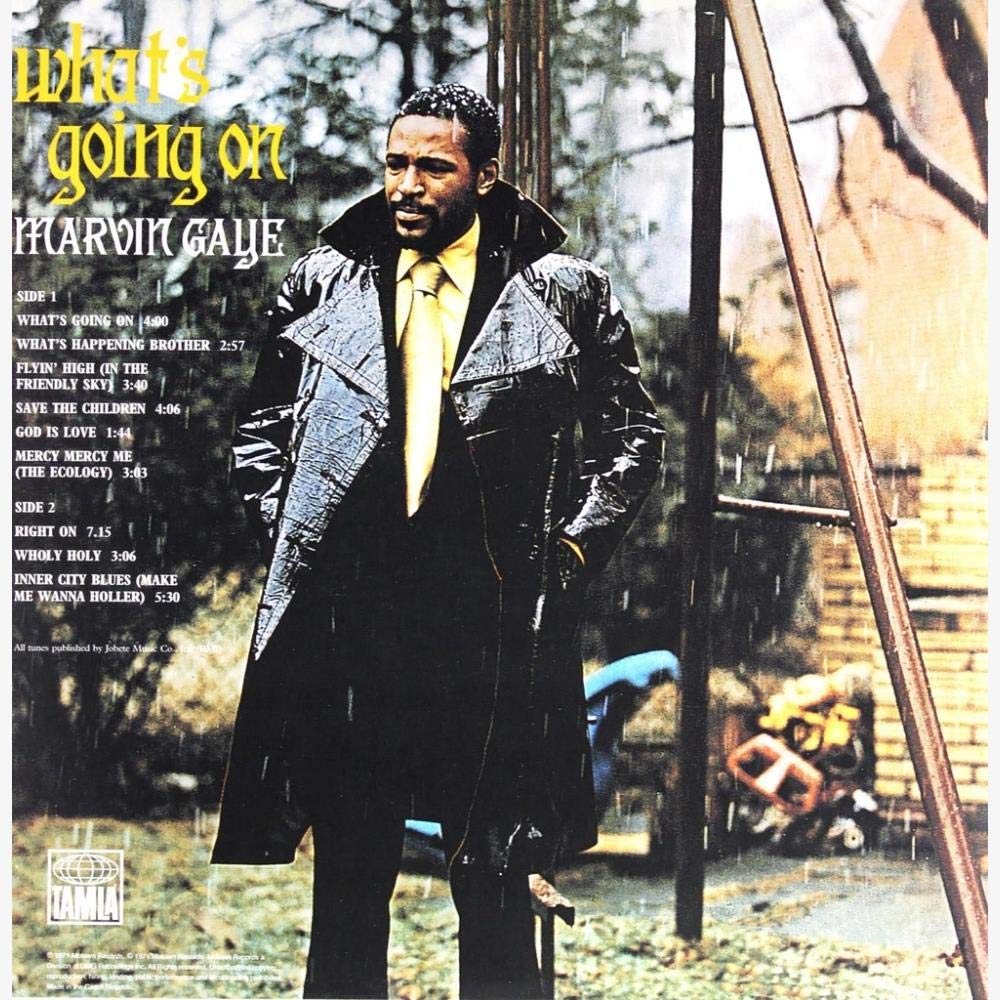 Marvin Gaye - What's Going On [VINYL]