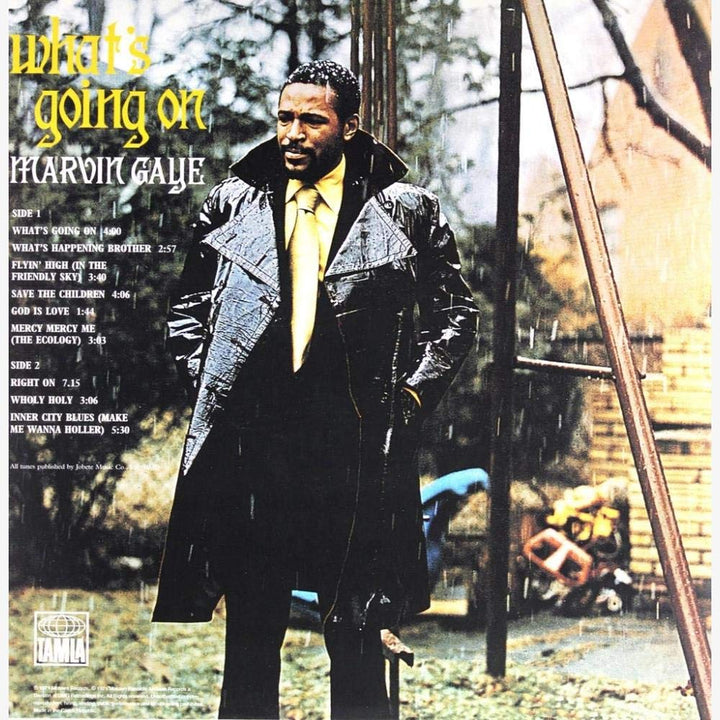 Marvin Gaye - What's Going On [VINYL]
