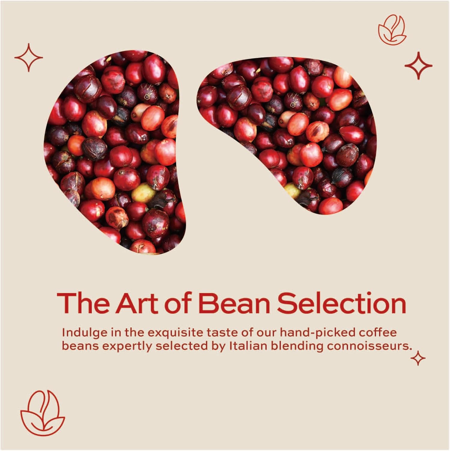 Kimbo Espresso Napoletano Whole Coffee Beans, Dark Roast, 1kg Bag 6