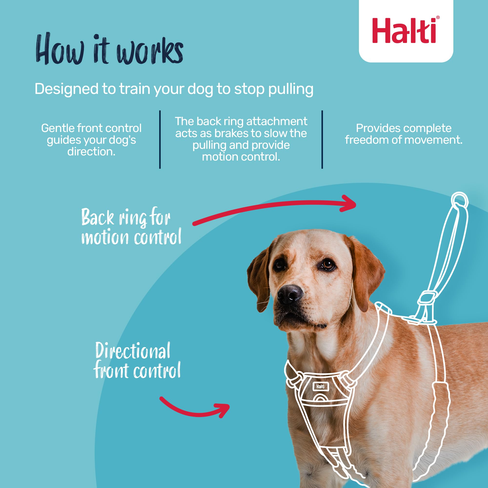 Halti No Pull Dog Harness - Stops Pulling, Comfortable Fit | Size M, Purple