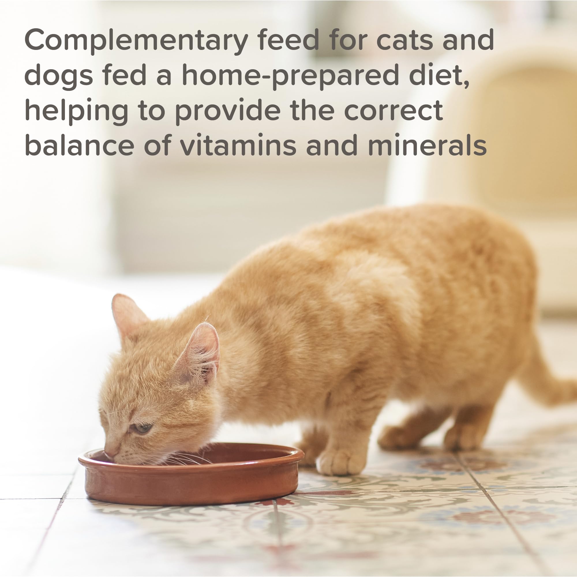 Beaphar Bone Builder Nutritional Powder Supplement for Cats & Dogs Fed Home Diets 500g 3
