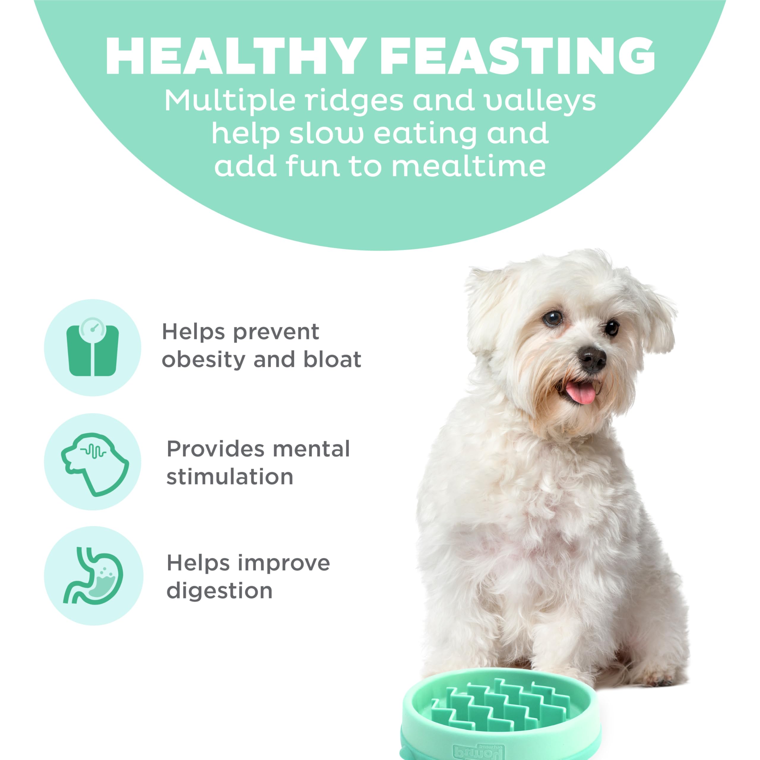 Outward Hound Puppy Slow Feeder Dog Bowl - Mint Small Size | BPA-Free, Dishwasher Safe
