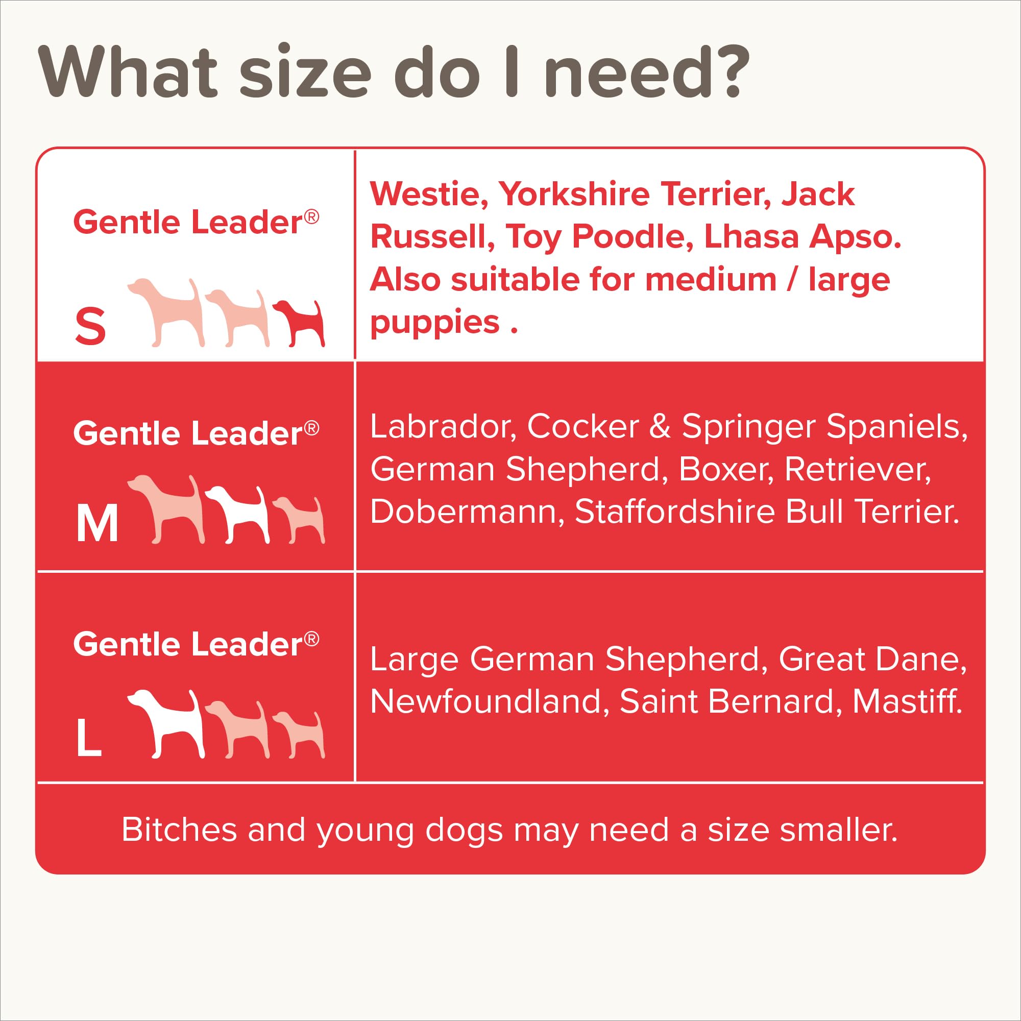 Beaphar Gentle Leader Headcollar - Stops Pulling for Small Dogs | Black Nylon 6