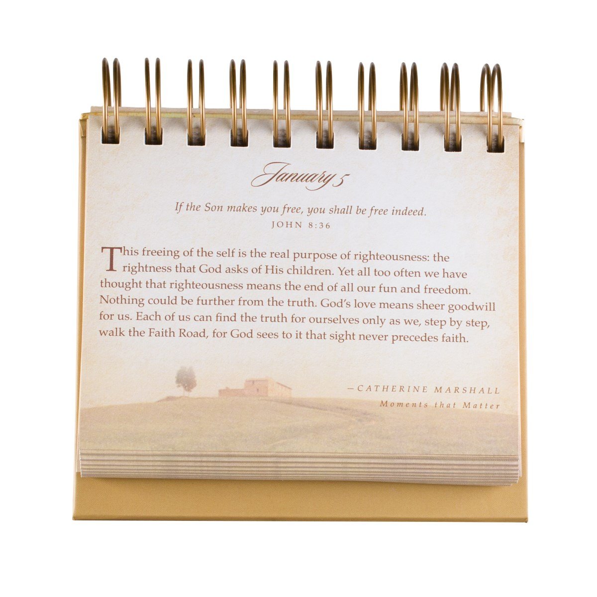 DaySpring God's Promises Day by Day Perpetual Desktop Calendar | 366 Inspirational Messages | Padded Hardcover 3