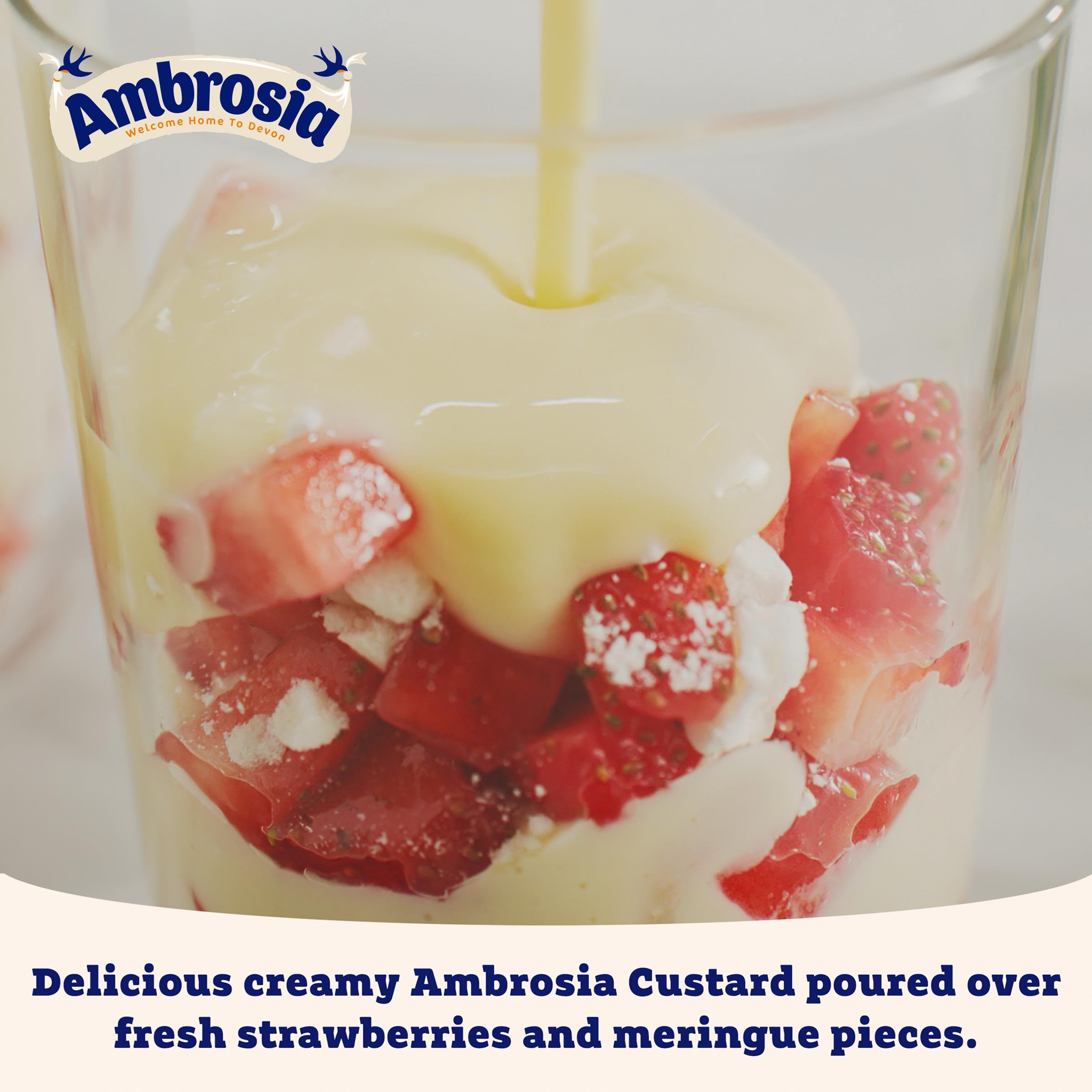 Ambrosia Light Devon Custard Pot, 30% Less Sugar & Fat, Calcium-Rich Dessert 4