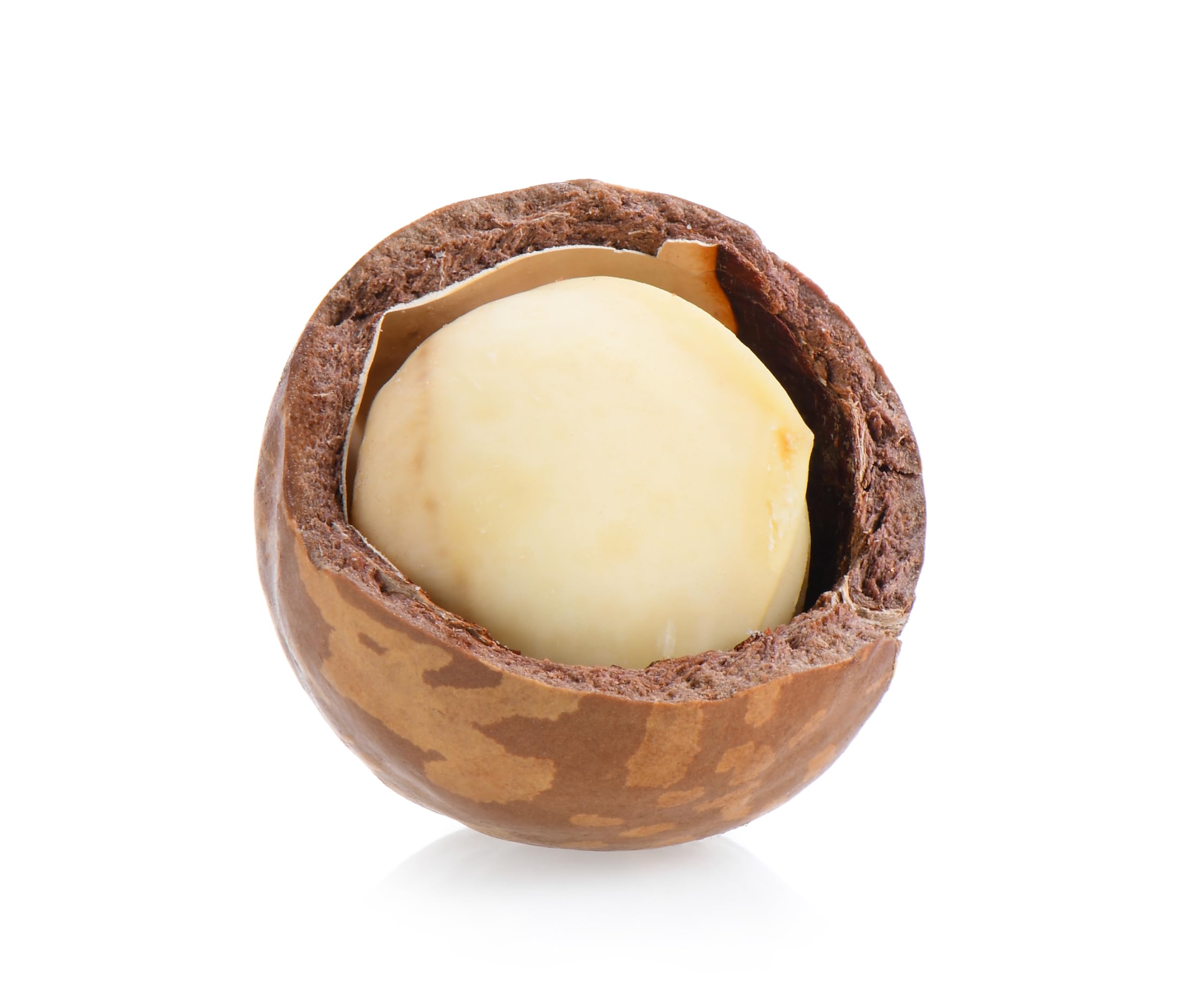 Mundo Feliz Organic Raw Macadamia Nuts - 5 x 100g Pack | Unsalted | Vegan 5