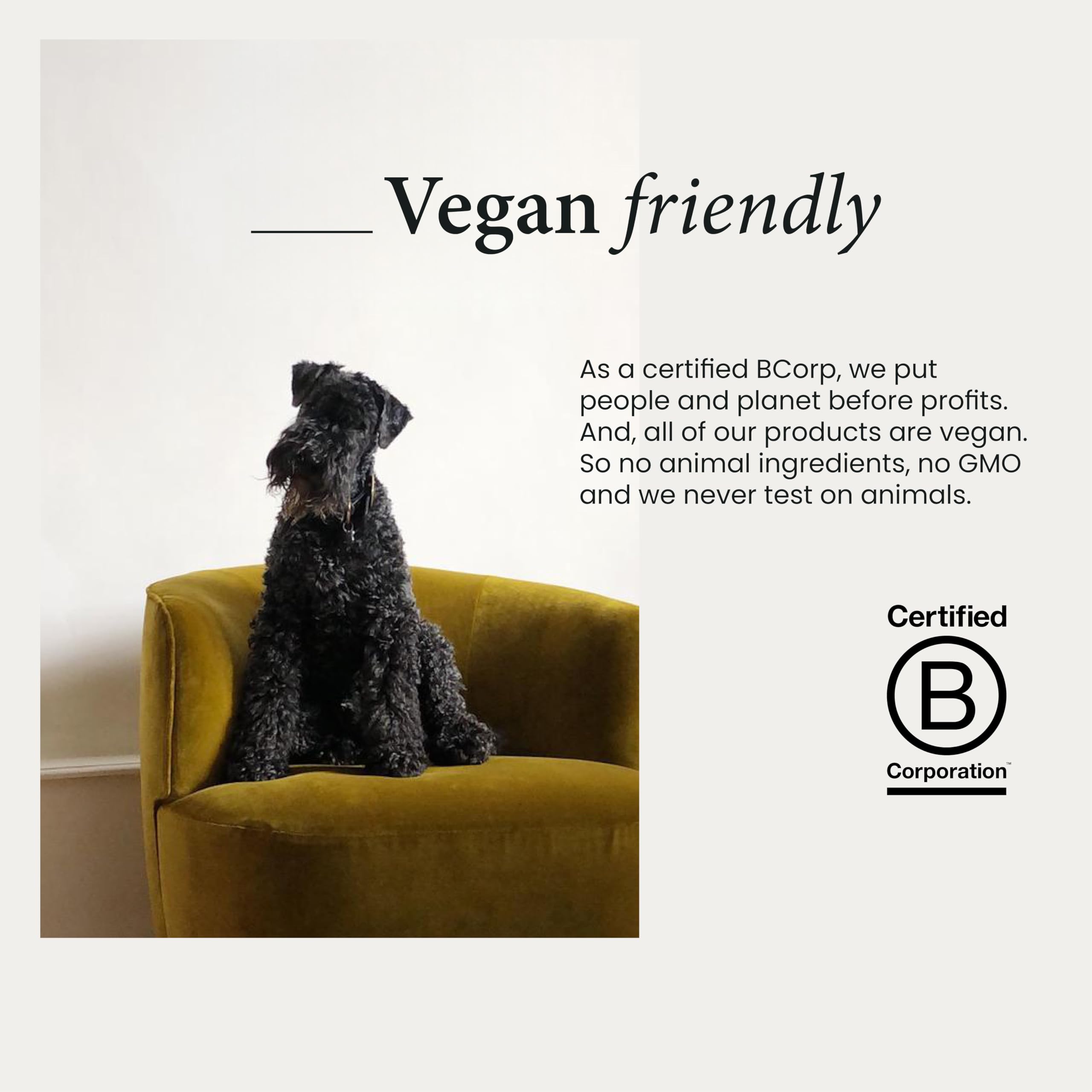 Wilton London Eco-Friendly Lavender Laundry Liquid (1.09 kg, 28 Washes) 10