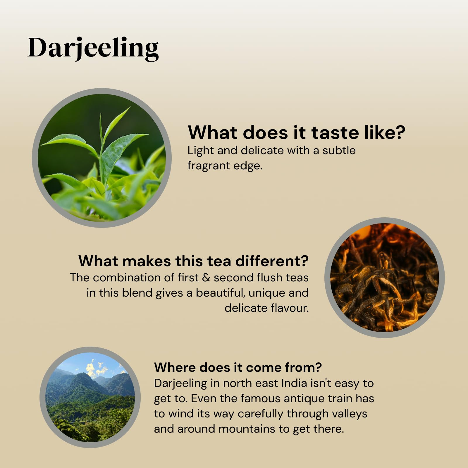 Twinings Darjeeling Black Tea - 40 Vegan Teabags | Light, Delicate Flavor | 100g 3