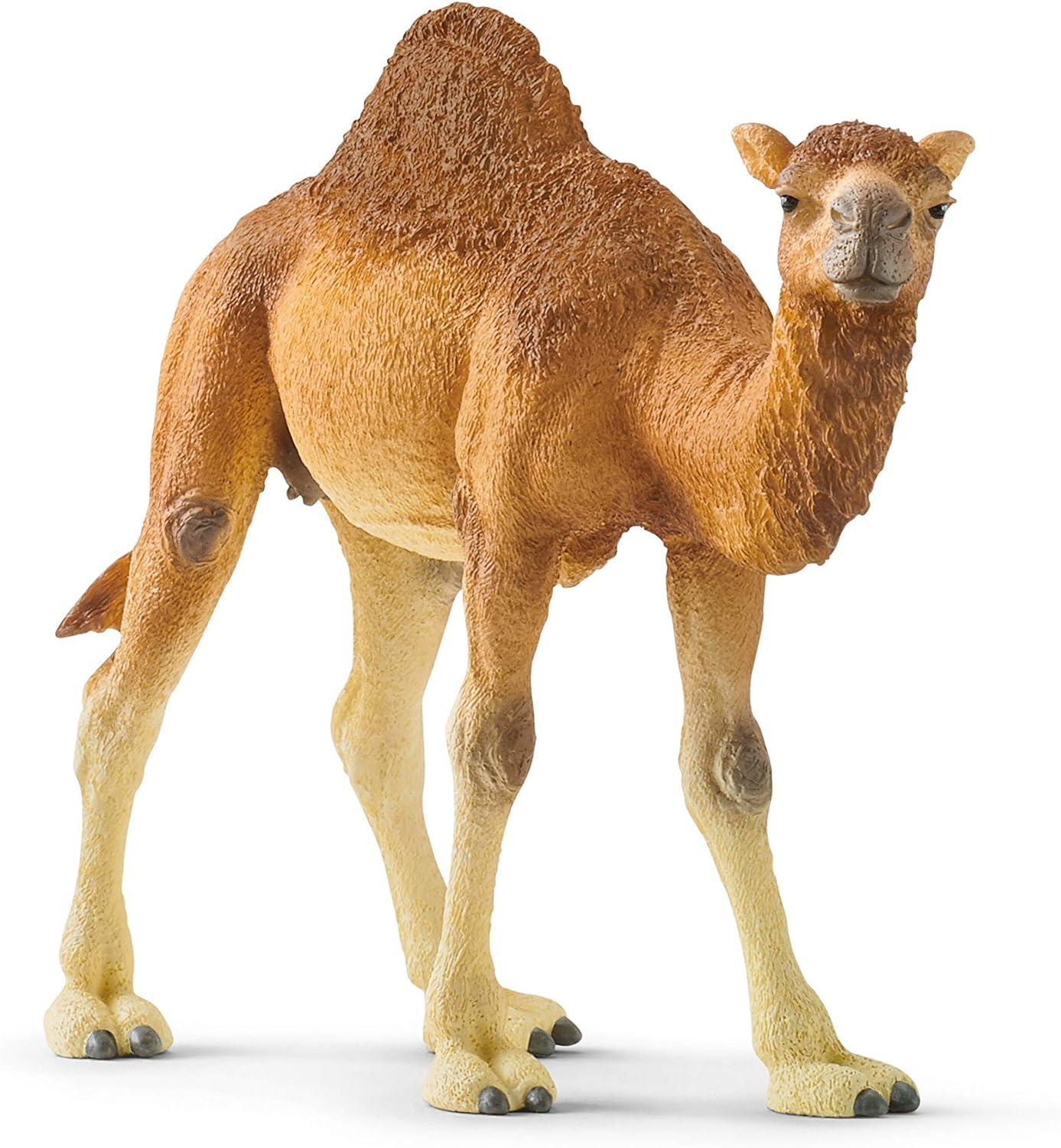 Schleich 14832 Dromedary Wild Life Toy Figurine | Ages 3-8 | Beige/Brown 1