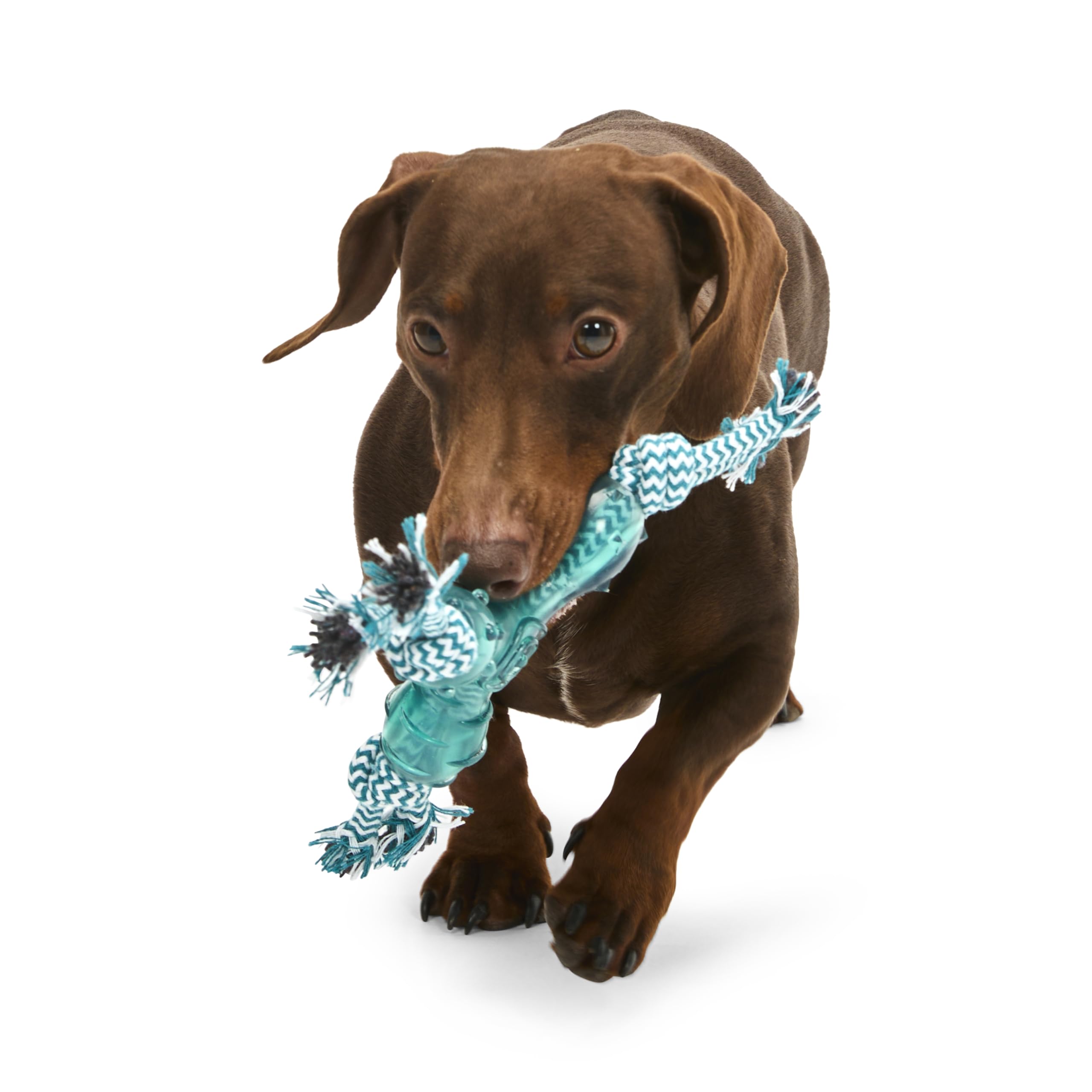 Petface Little Petface Tripod Puppy Dog Chew Toy - Durable Silicone | Unscented | Blue 4