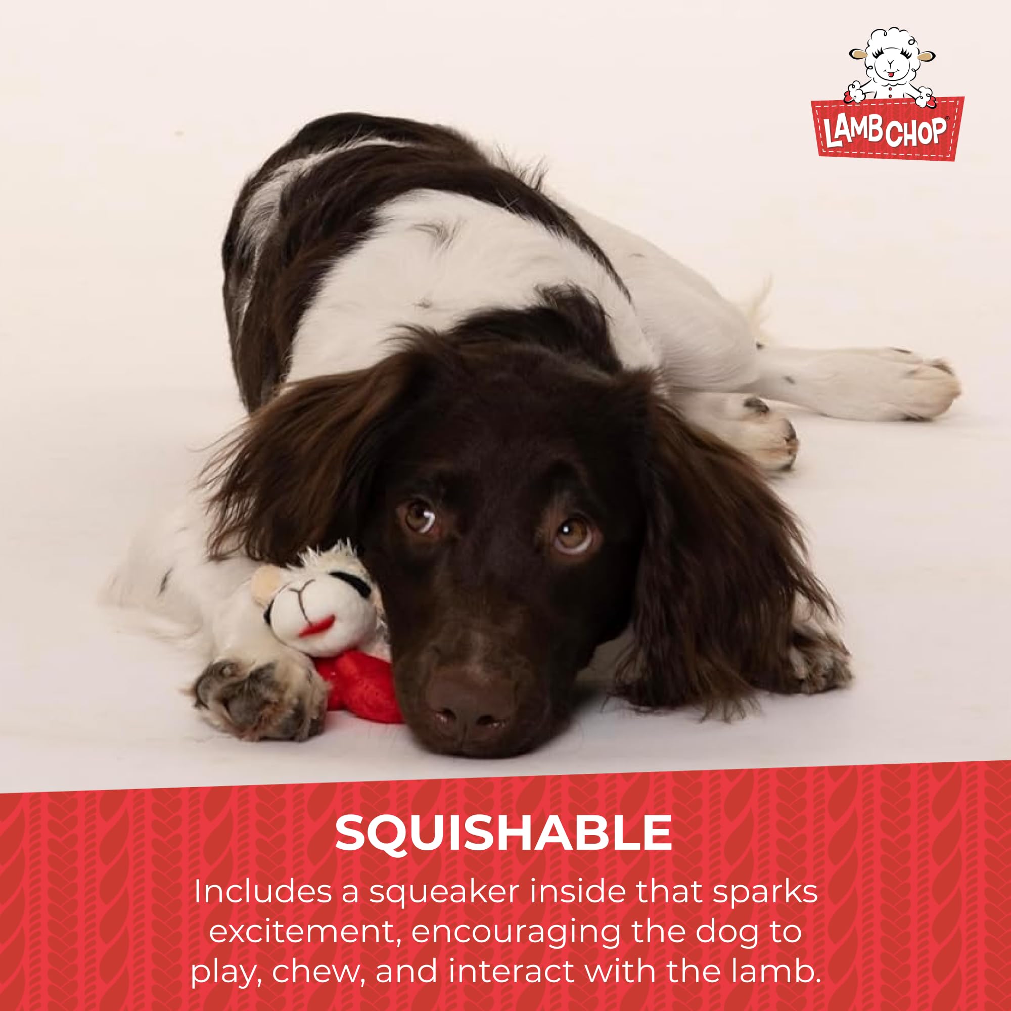 Multipet Lambchop Mini Plush Squeaky Dog Toy - 7 Inches, White, Made In America 5