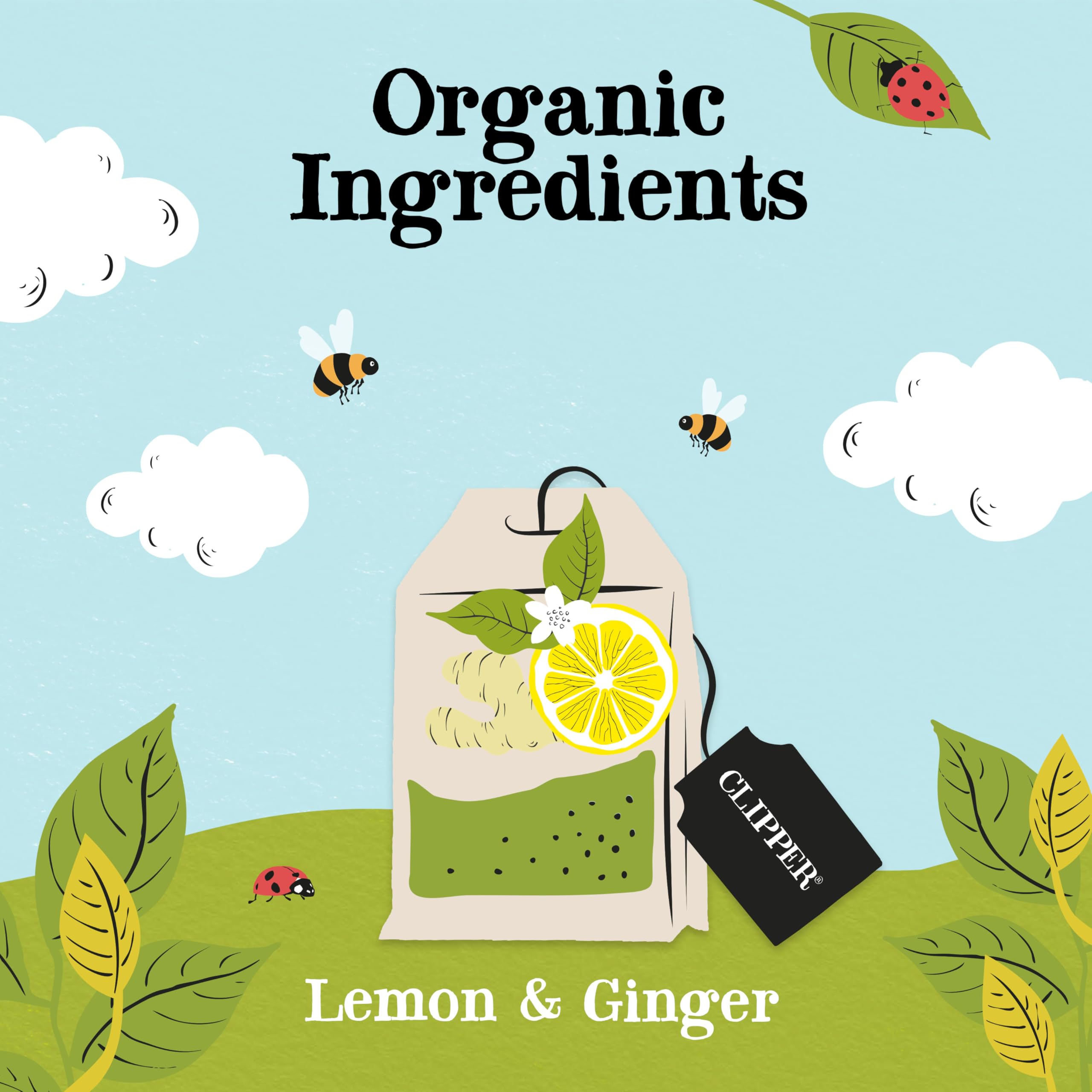 Clipper Natural, Fair & Delicious Organic Lemon and Ginger Herbal Tea Bags - 50 Count, Caffeine-Free 3