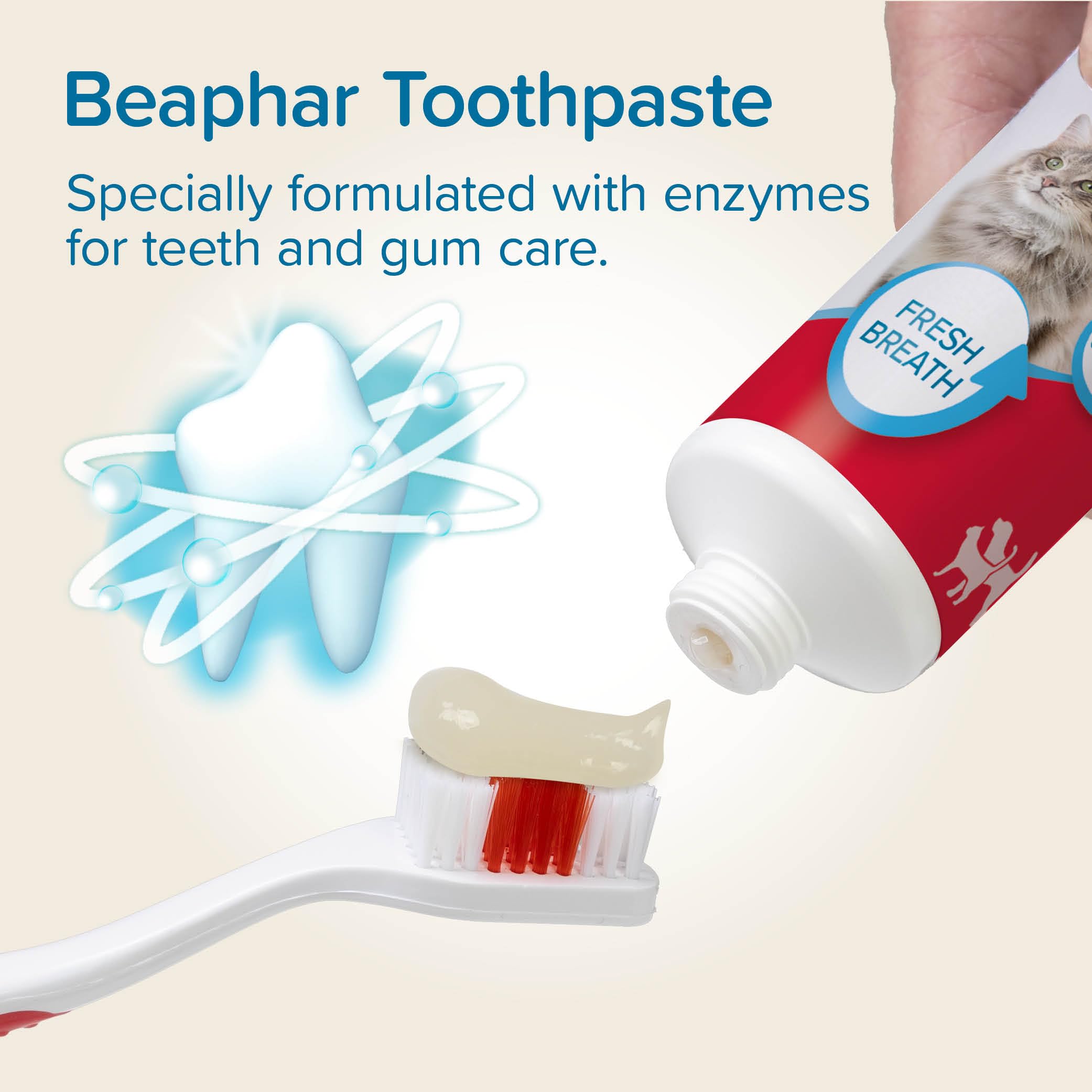 Beaphar Dental Care Kit for Cats & Dogs - Double-Ended Toothbrush & Enzyme Toothpaste 4