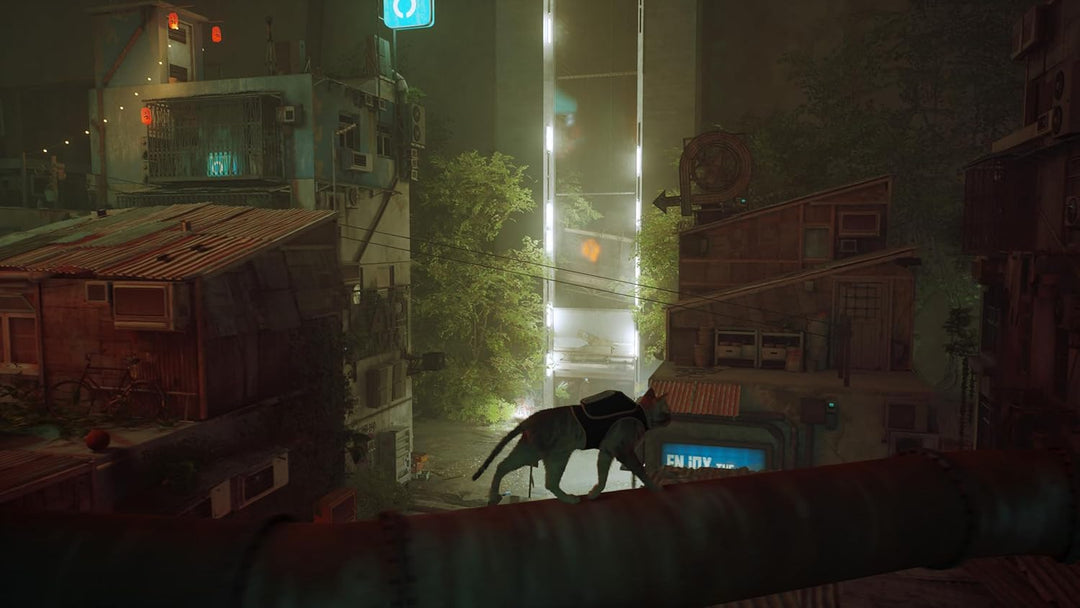 Stray - Nintendo Switch Physical Edition