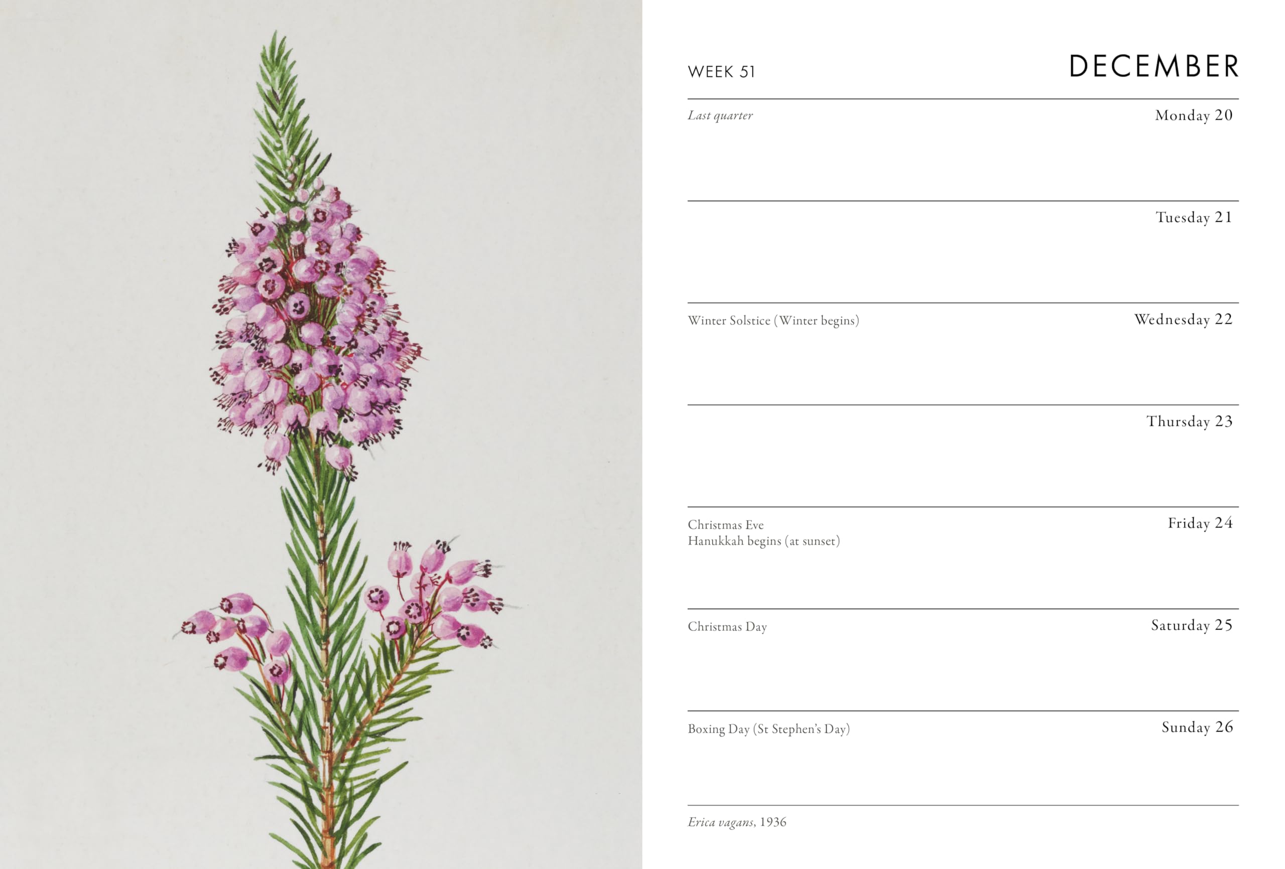 Frances Lincoln RHS Desk Diary 2027 - Week-to-View Planner | Botanical Illustrations 6