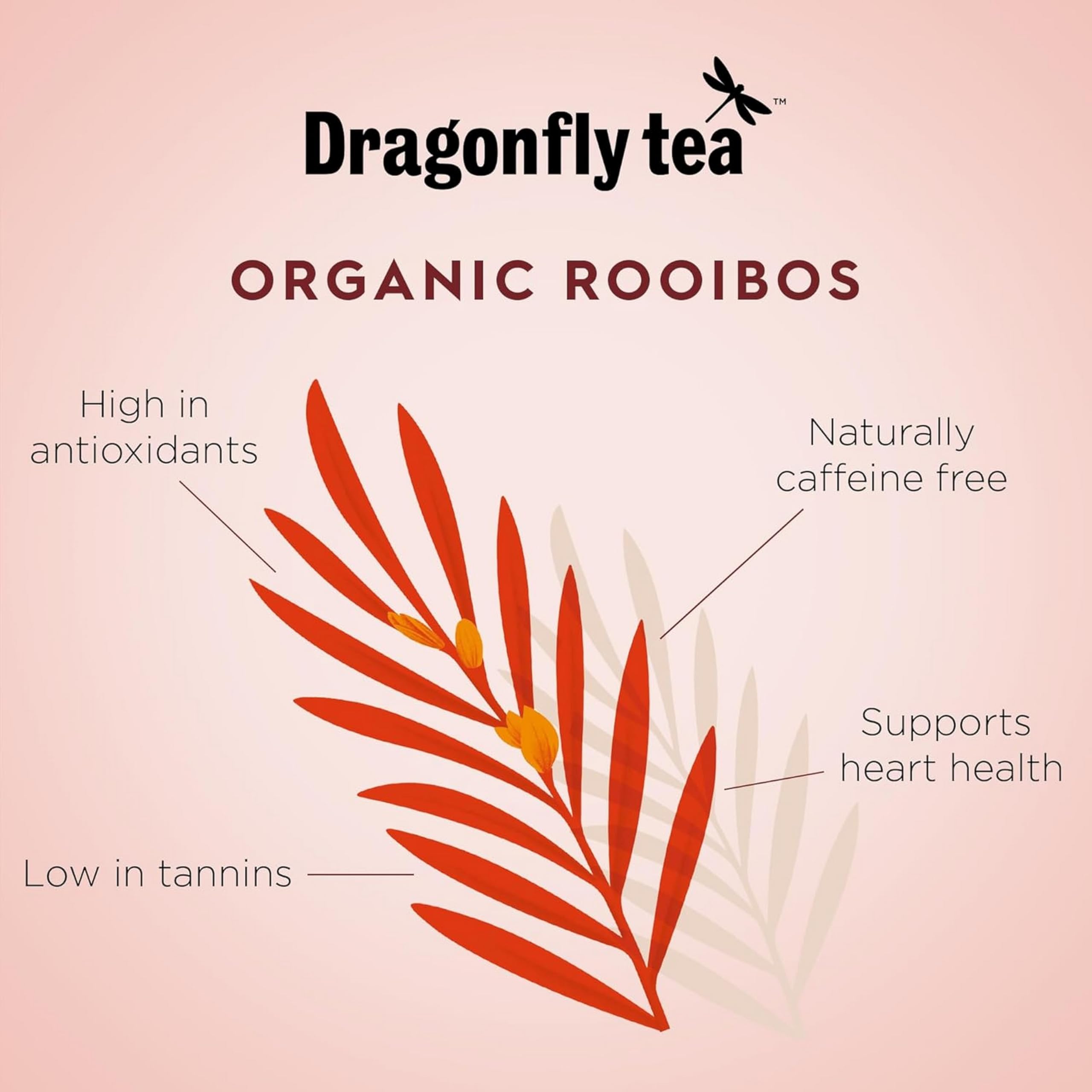 DRAGONFLY Organic Rooibos Tea Selection Box - 160 Teabags (4 Varieties) | Caffeine Free | Compostable Bags 3