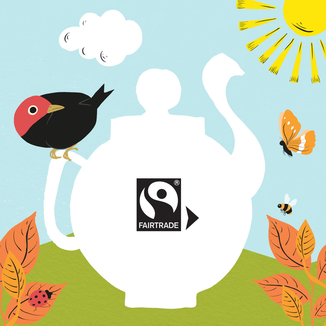 Clipper Fairtrade Everyday One Cup Teabags (440 Teabags)