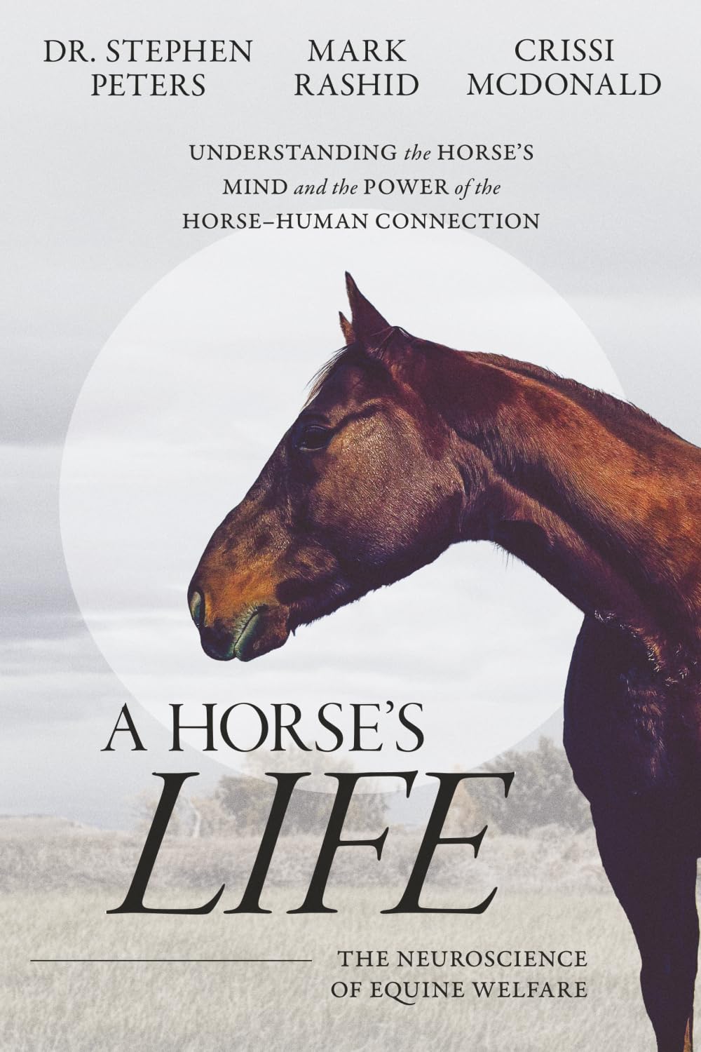 A Horse's Life: The Neuroscience of Equine Welfare by Stephen Peters, Mark Rashid, Crissi McDonald | Paperback 1