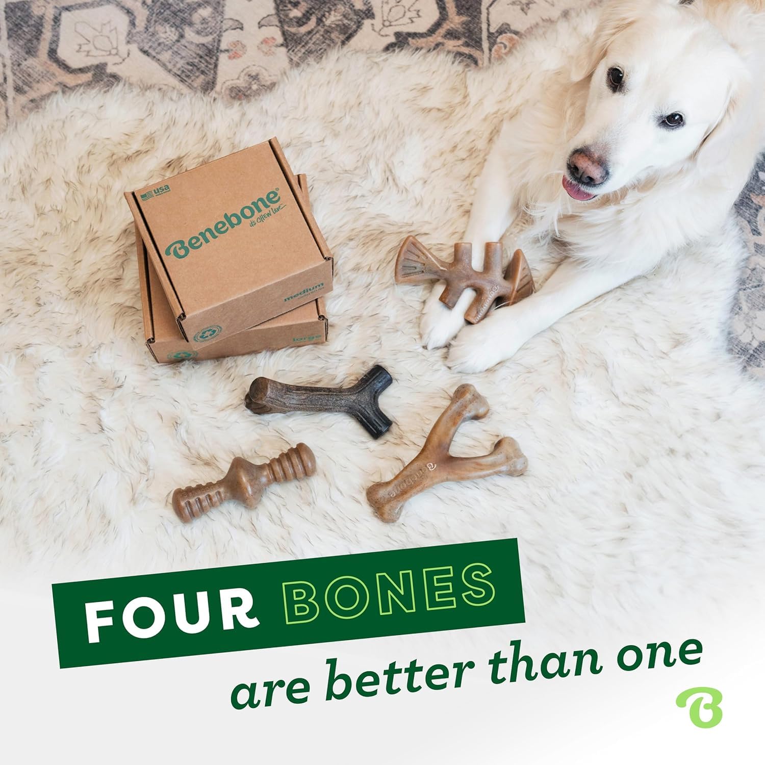 Benebone Indestructible Dog Chew Toy Gift Box - 4 Pack for Large Dogs up to 41kg 5