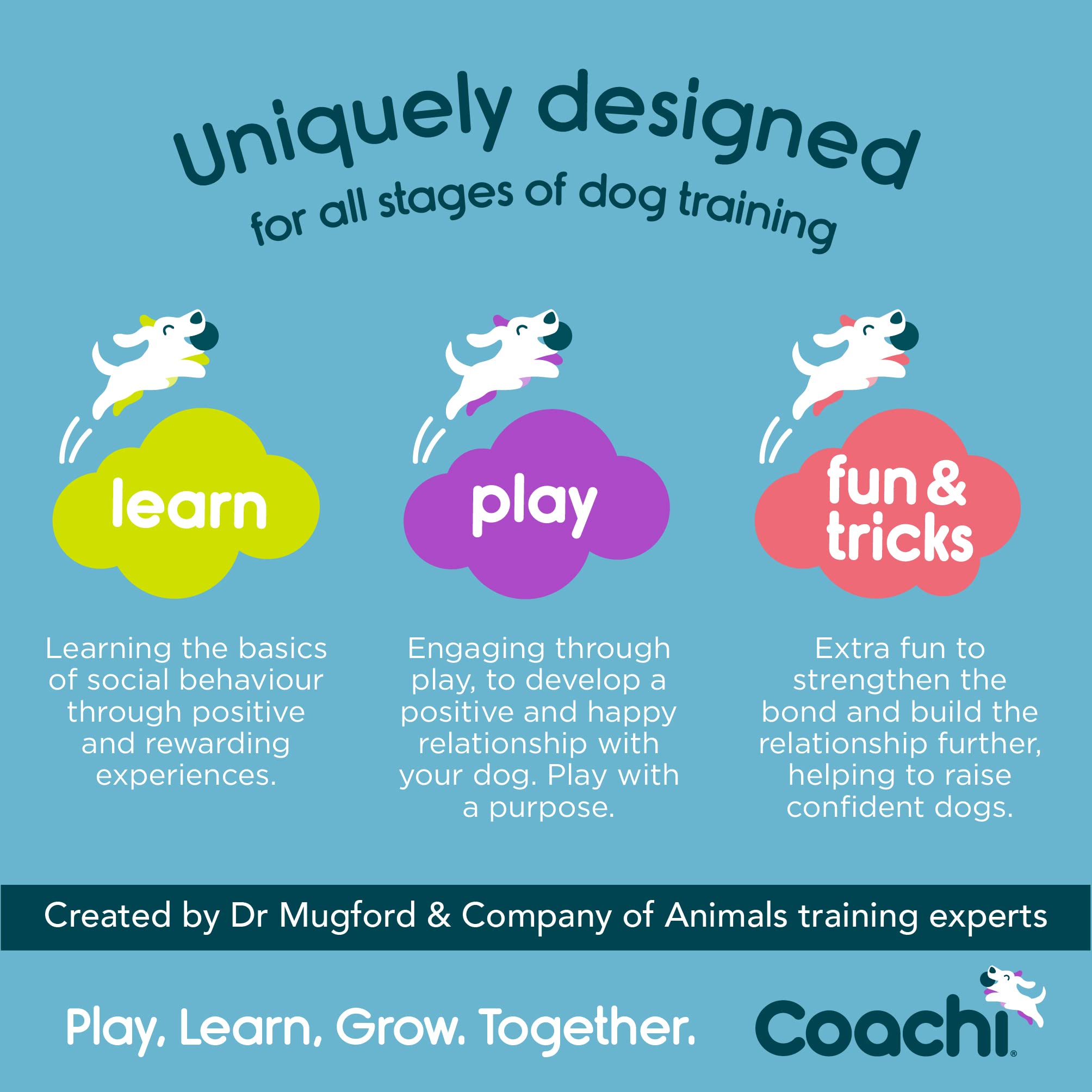Coachi Chase & Treat Interactive Dog Toy - Treat Dispensing for Training | Polyester 5