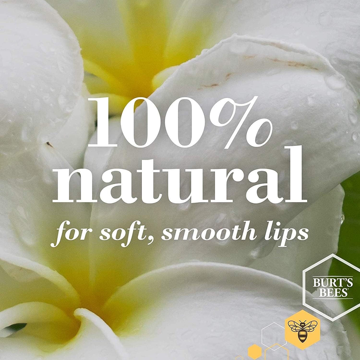 Burt's Bees - Vanilla Bean Lip Balm (4.25 g) 3