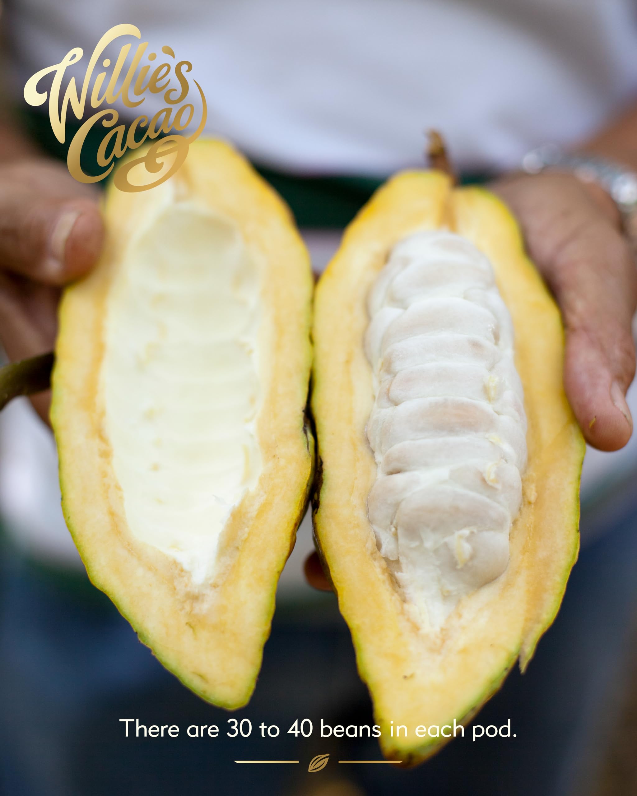 Willie's Cacao Bar - Sea Kissed Almond - Milk Chocolate with Roasted Almonds and Cornish Salt - 50g 9