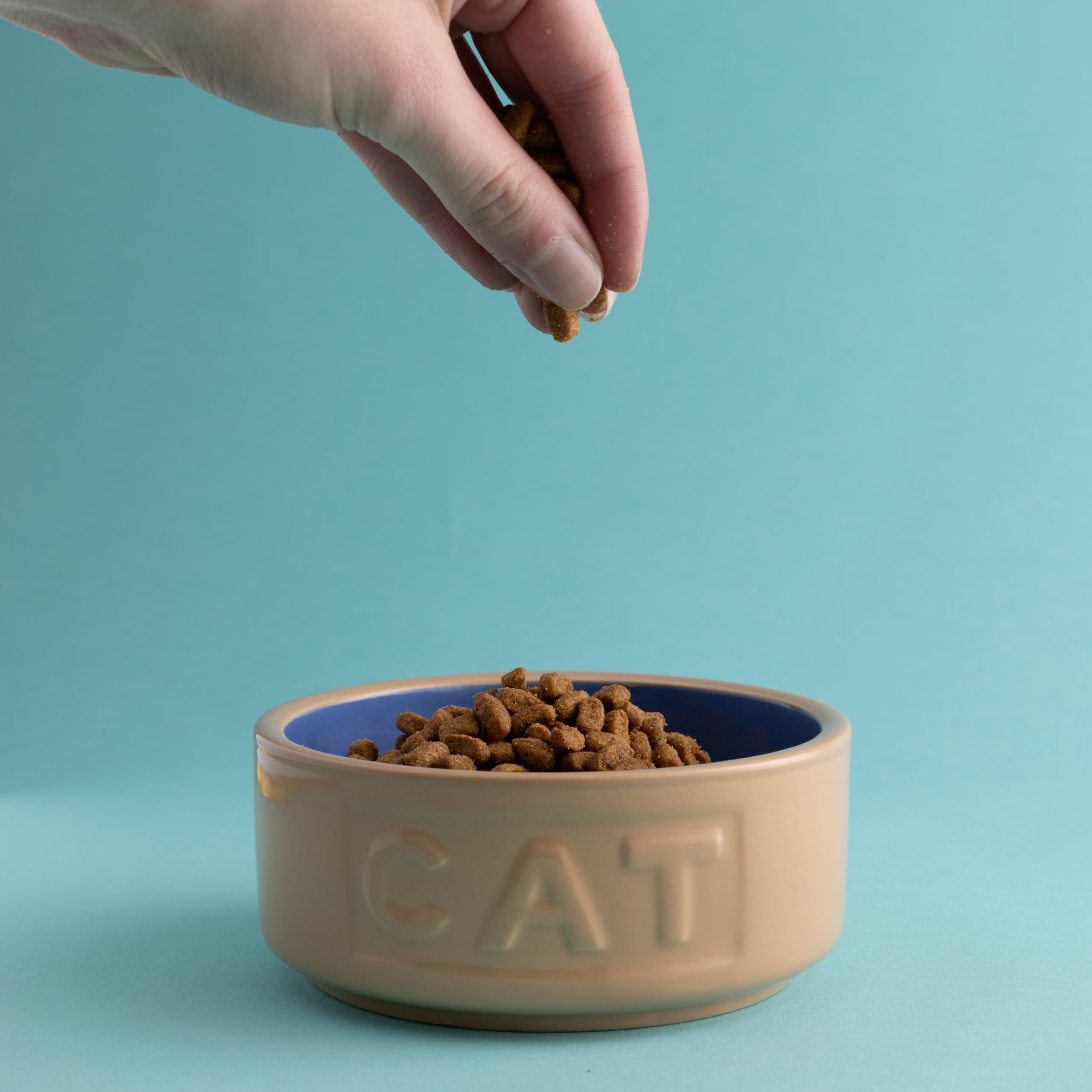 Mason Cash Cane & Blue Cat Bowl - 13 cm Ceramic, 400 ml Capacity | Non-Tip Design
