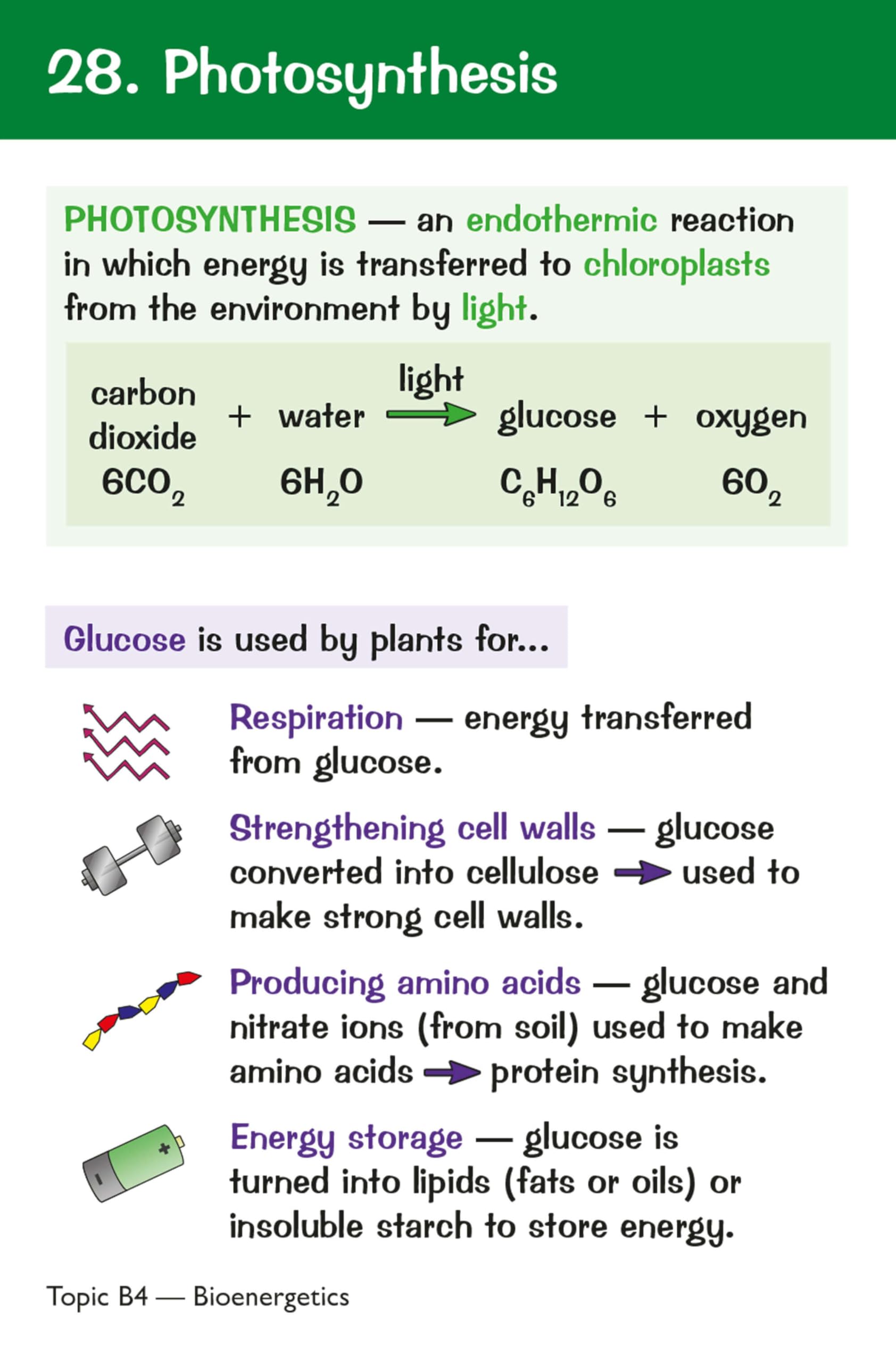 CGP New GCSE Combined Science AQA Higher Key Fact Revision Cards | Teaching Aid 3