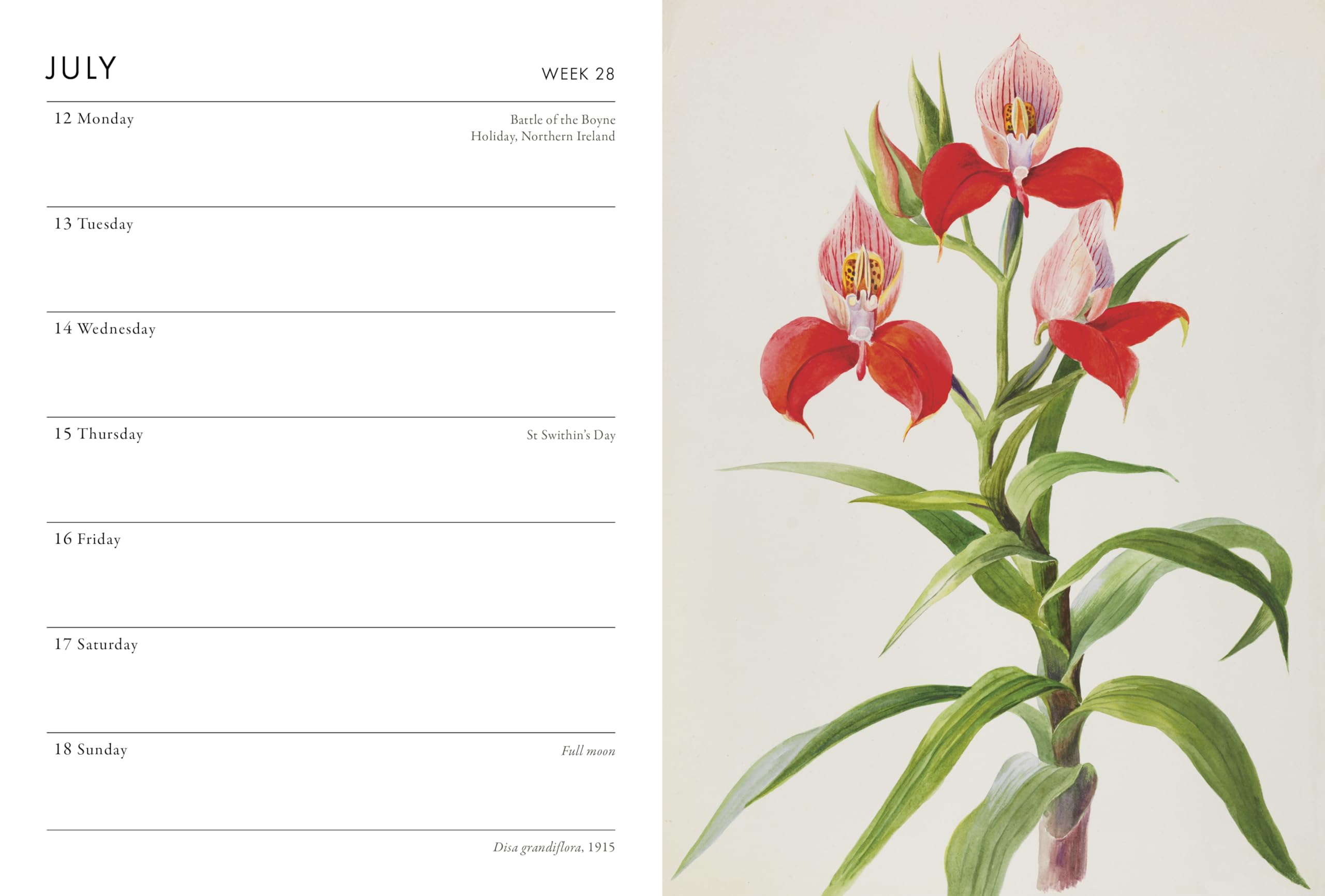 Frances Lincoln RHS Desk Diary 2027 - Week-to-View Planner | Botanical Illustrations 4