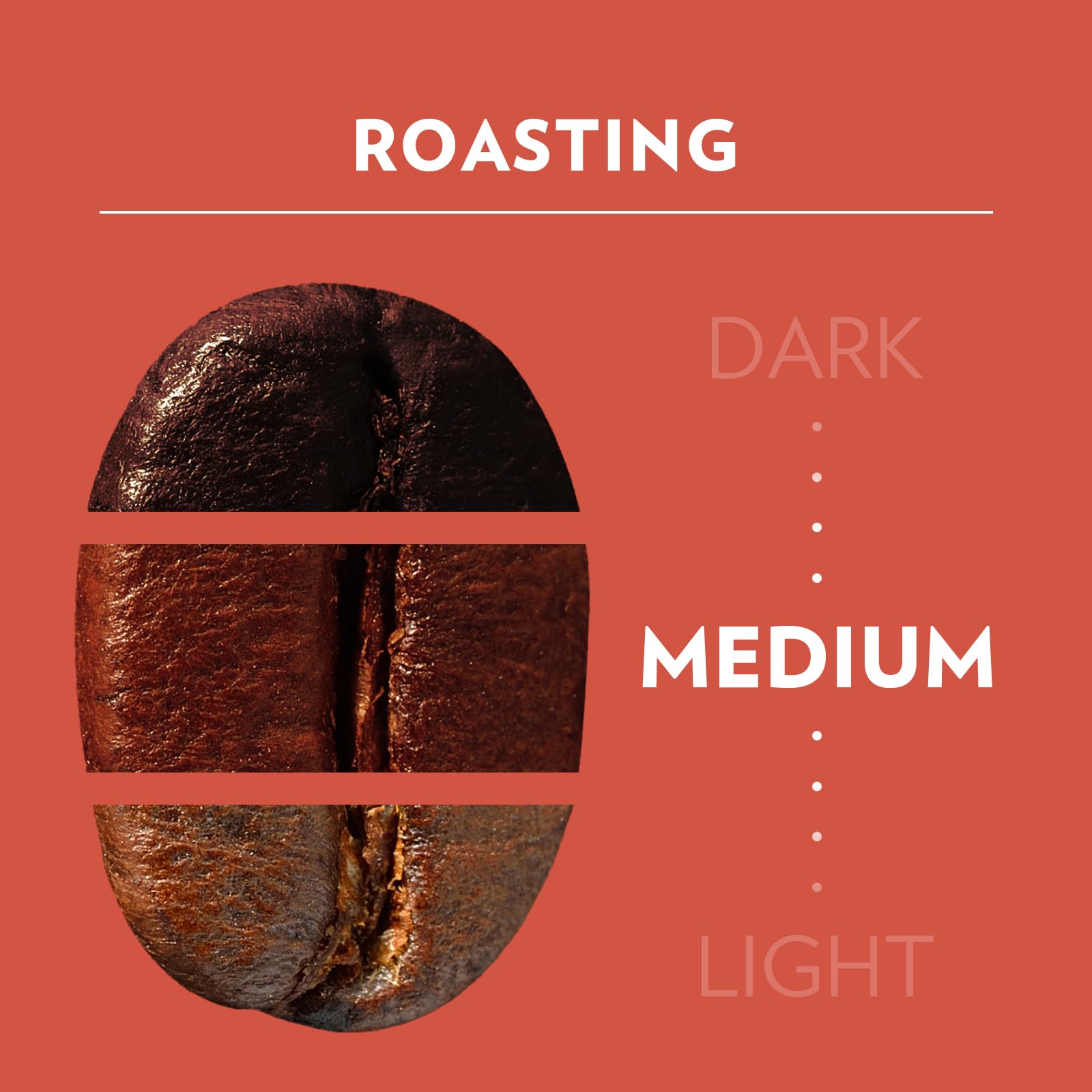 Lavazza Tales of Roma Roasted Whole Coffee Beans | Intensity 8/10 | 450g 4