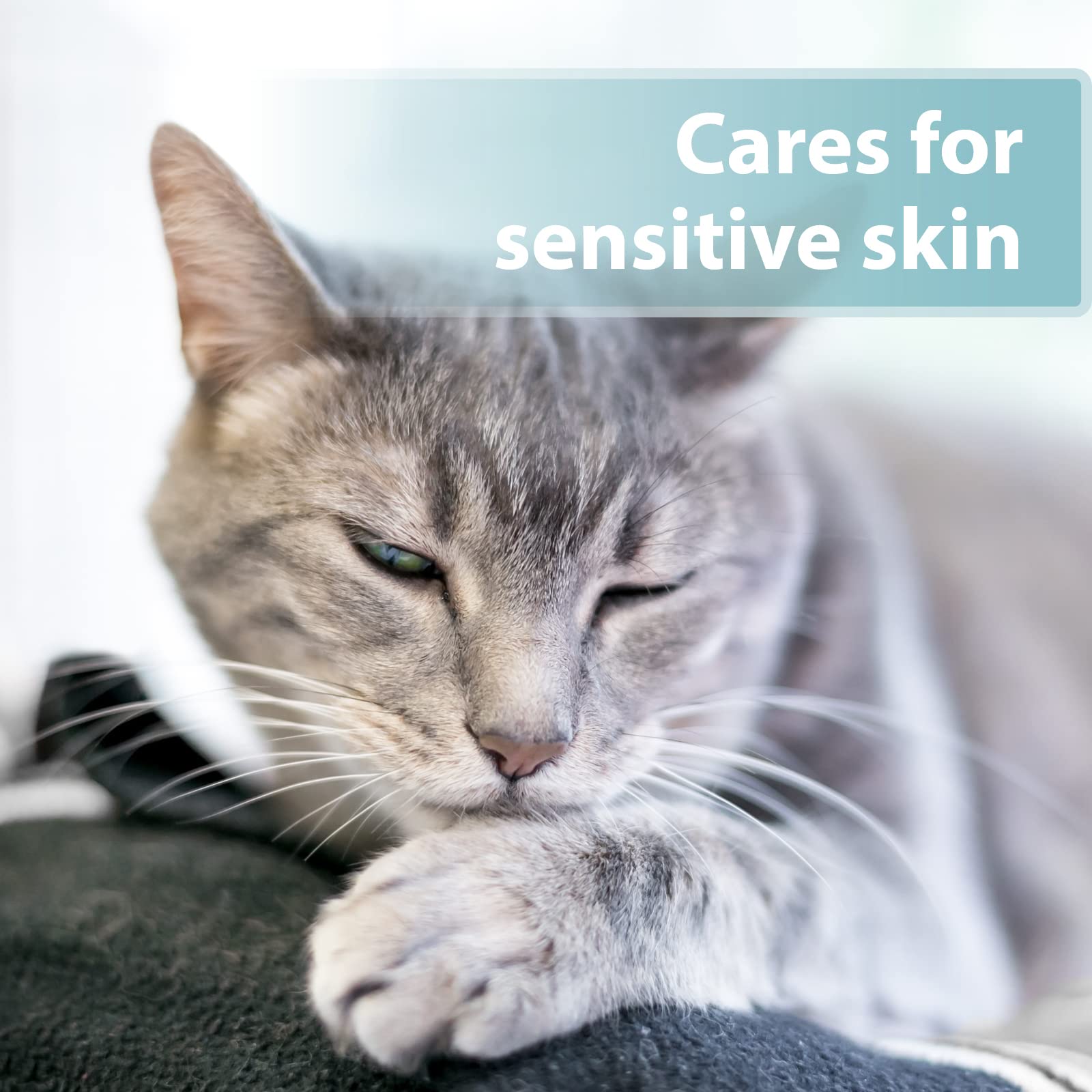 Felisept Skin Care Spray for Cats - Itch & Mite Treatment for All Life Stages | 250ml 4