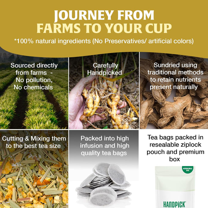 HANDPICK Lemon Ginger Tea Bags (100 Count) | Herbal Tea with Lemon, Ginger, Lemongrass & Licorice | Eco-Conscious Round Tea Bags for Hot or Cold Brew