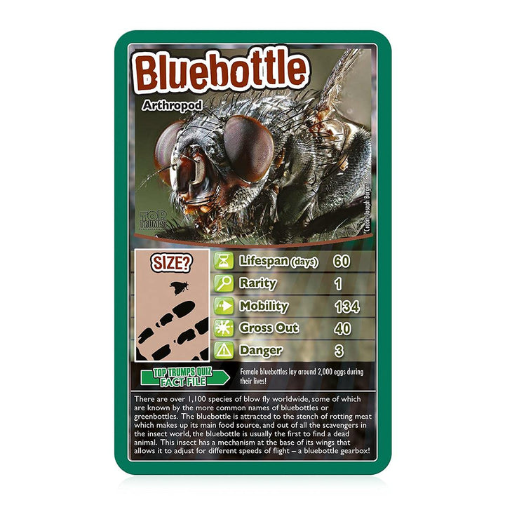 Top Trumps Bugs Classic Card Game - Educational Insect & Arachnid Trivia for Kids 6+
