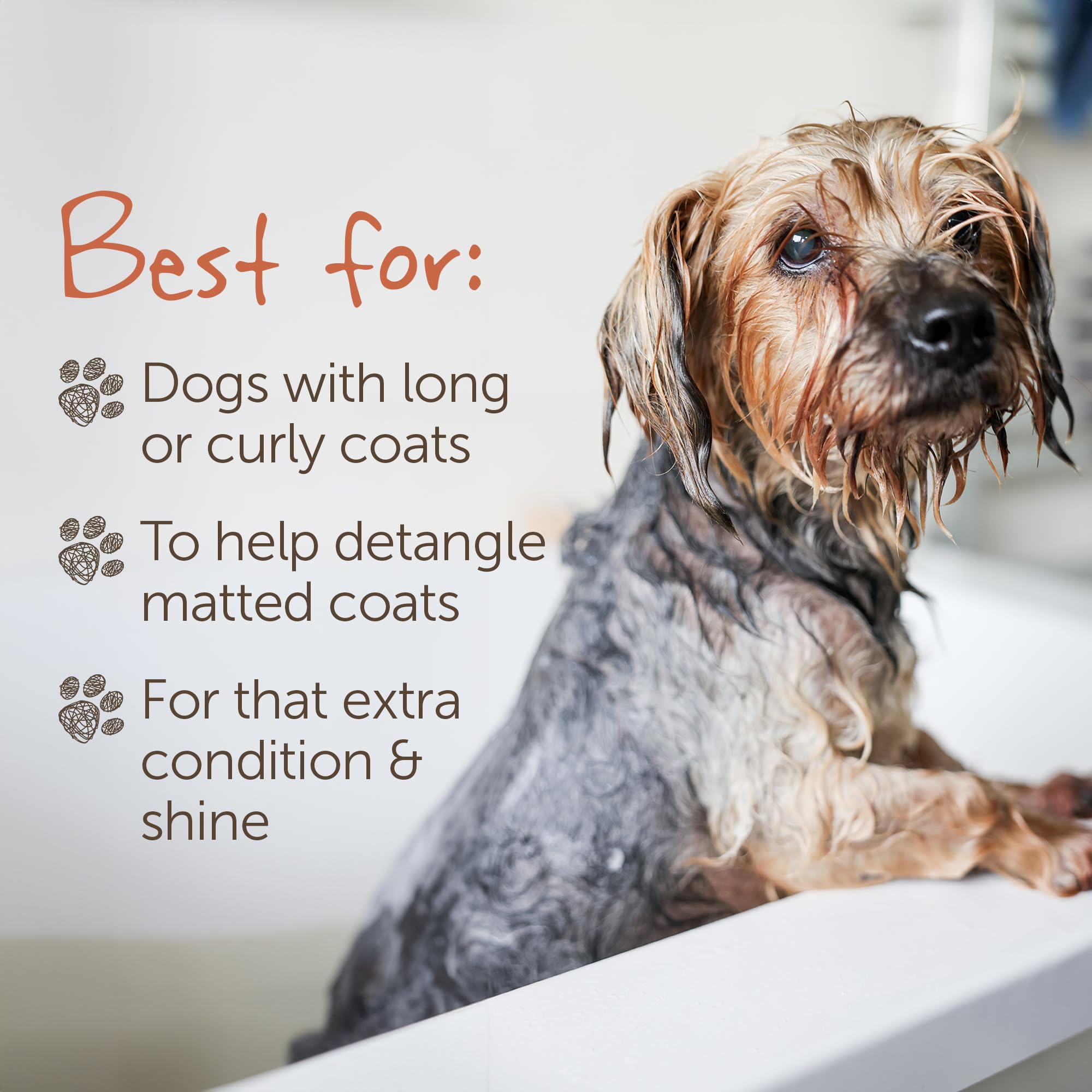 LITTLE BEAST Scruffy Dog Shampoo Bar - Detangles & Deeply Conditions | Citrus Scent | 100g 6