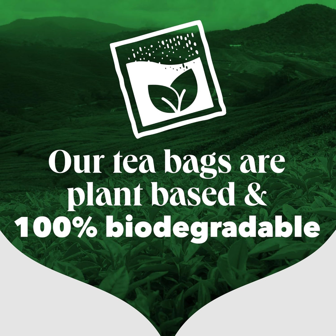 PG Tips - Original Black Tea Bags 400 Count, Full-Bodied & Refreshing