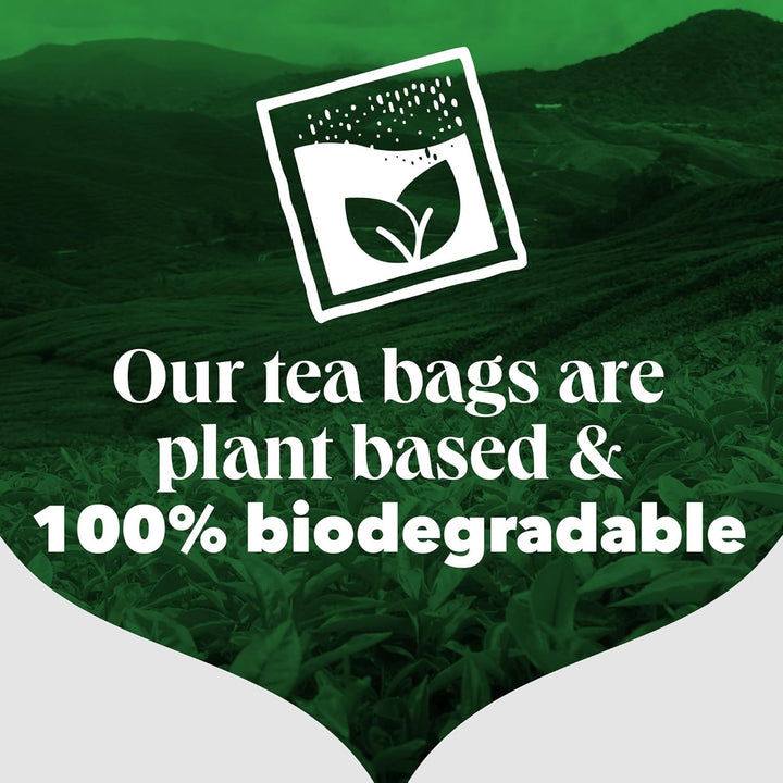 PG Tips - Original Black Tea Bags 400 Count, Full-Bodied & Refreshing
