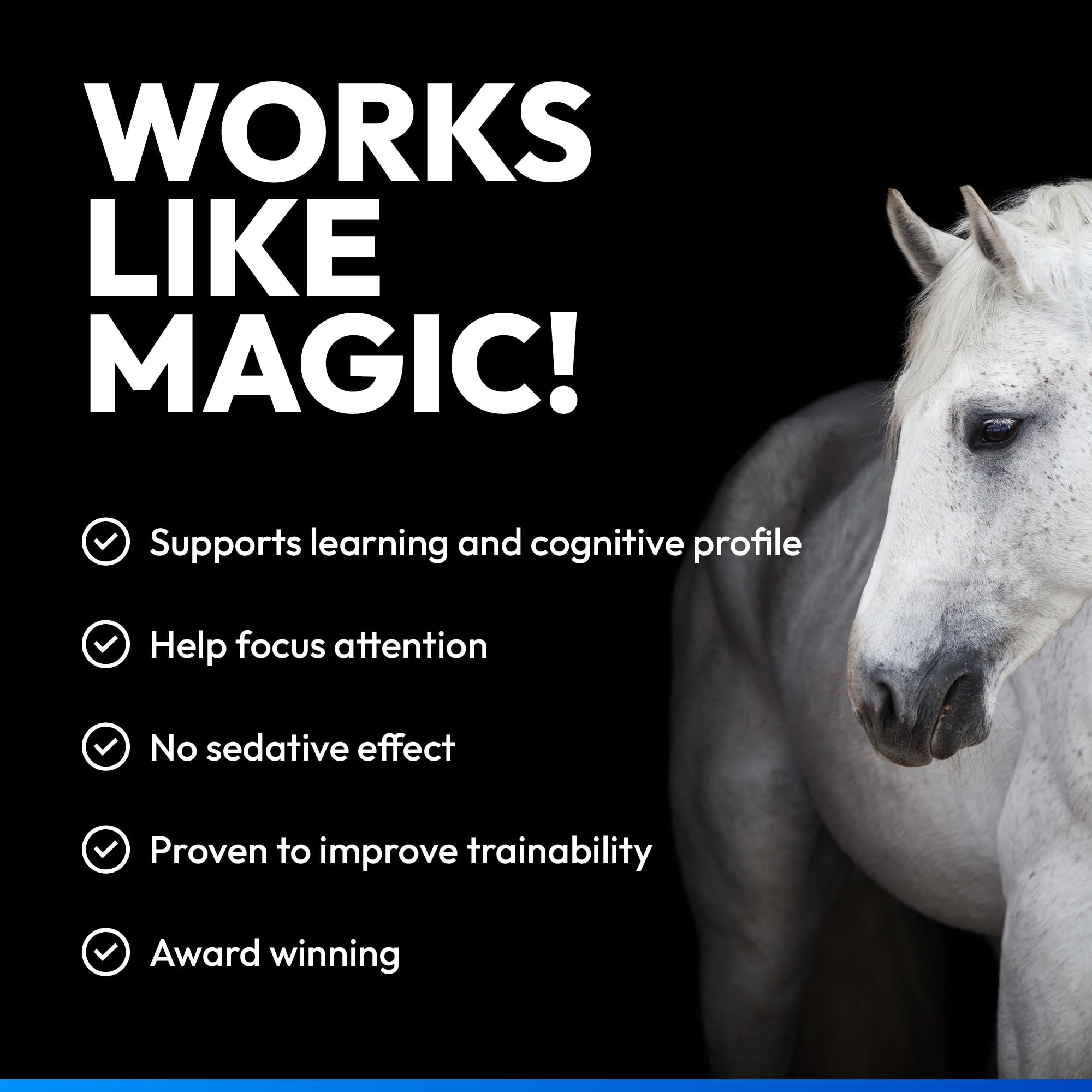 NAF Five Star Magic Liquid - Calming Supplement for Horses | 1L | Magnesium & Herbal Extracts 5
