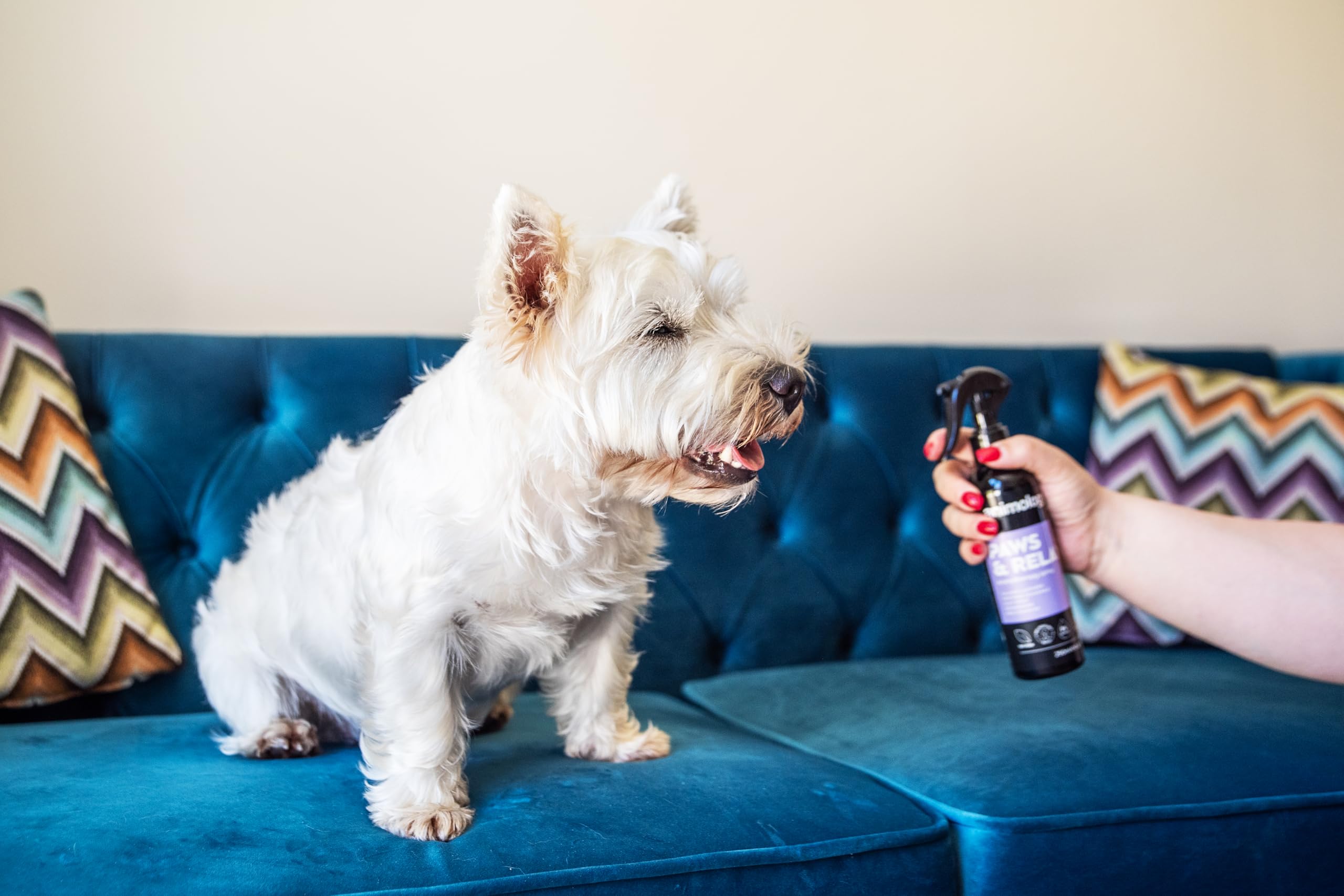 Animology Paws & Relax Aromatherapy Dog Spray - Calming Lavender & Chamomile Scent | 250 ml 6