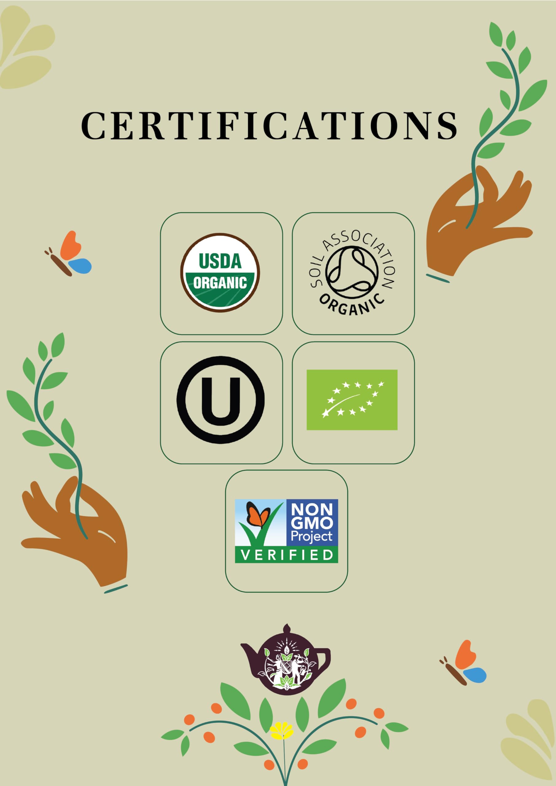 English Tea Shop Organic Cinnamon Moringa Ginger - 20 Tea Bags 2