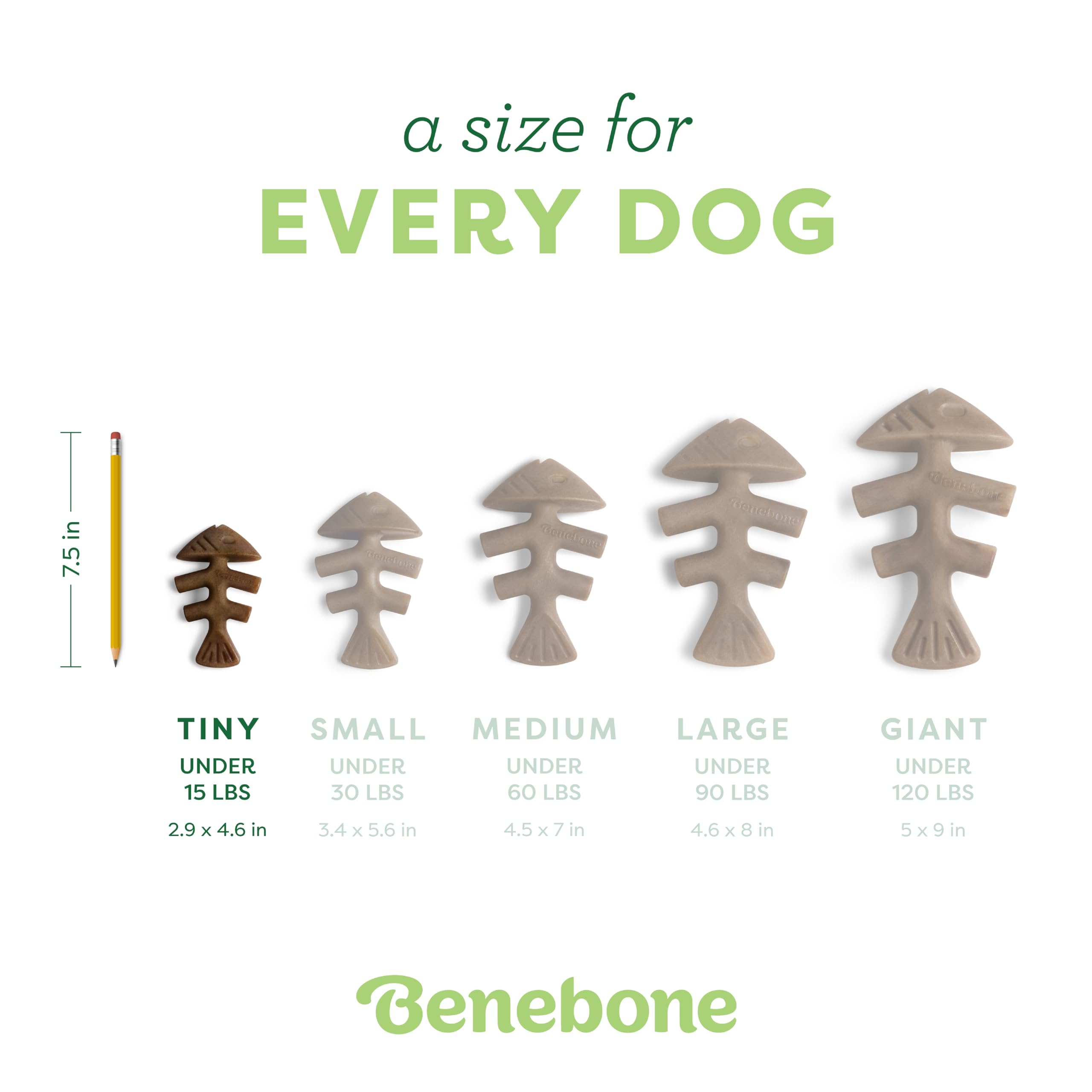Benebone Fishbone Durable Chew Toy - Jack Salmon Flavor | 2 Pack for Tiny Dogs Under 15 lbs 4