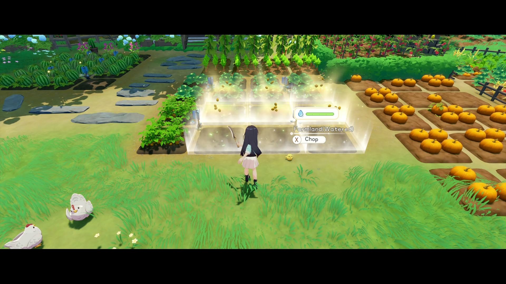 Starsand Island [PS5] 6