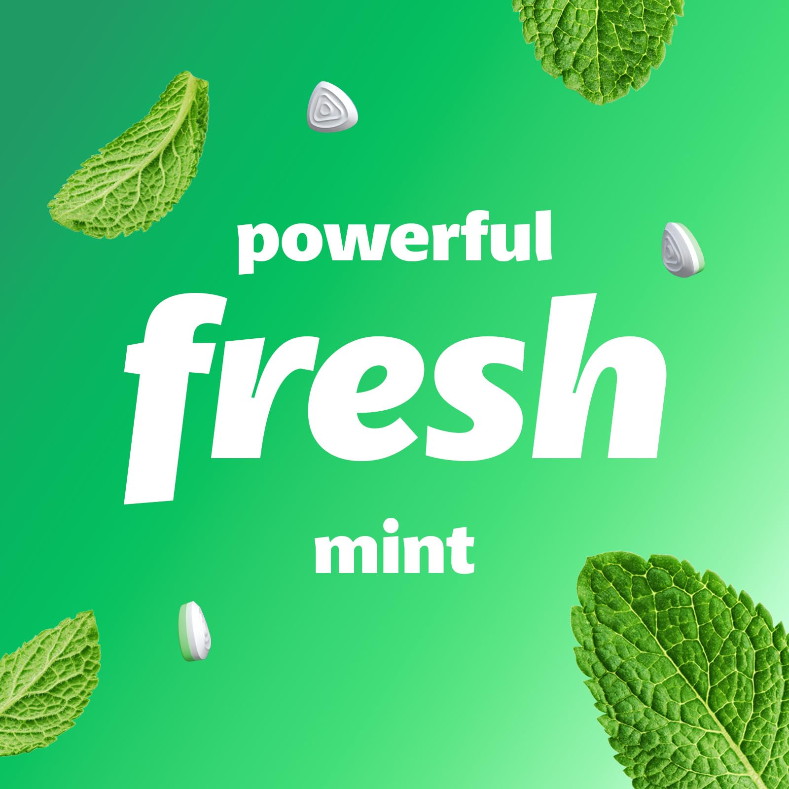 Smint - Spearmint XXL Sugar-Free Mints (Pack of 12 Tins) 7