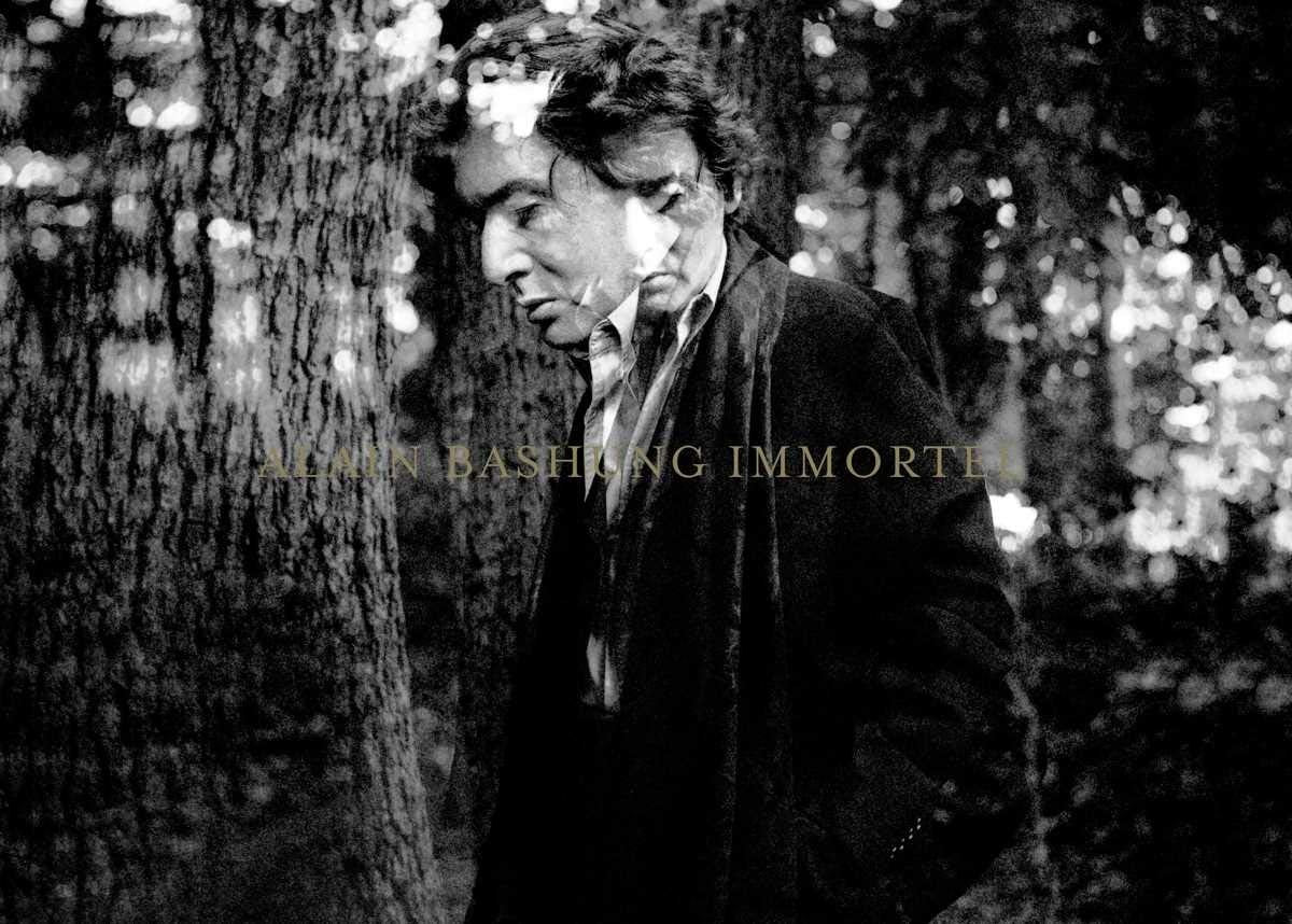 Alain Bashung – Integrale – Immortal: 24-Disc-CD-Boxset (14 Studioalben + 8 Bonus-CDs + unveröffentlichte Titel) 1