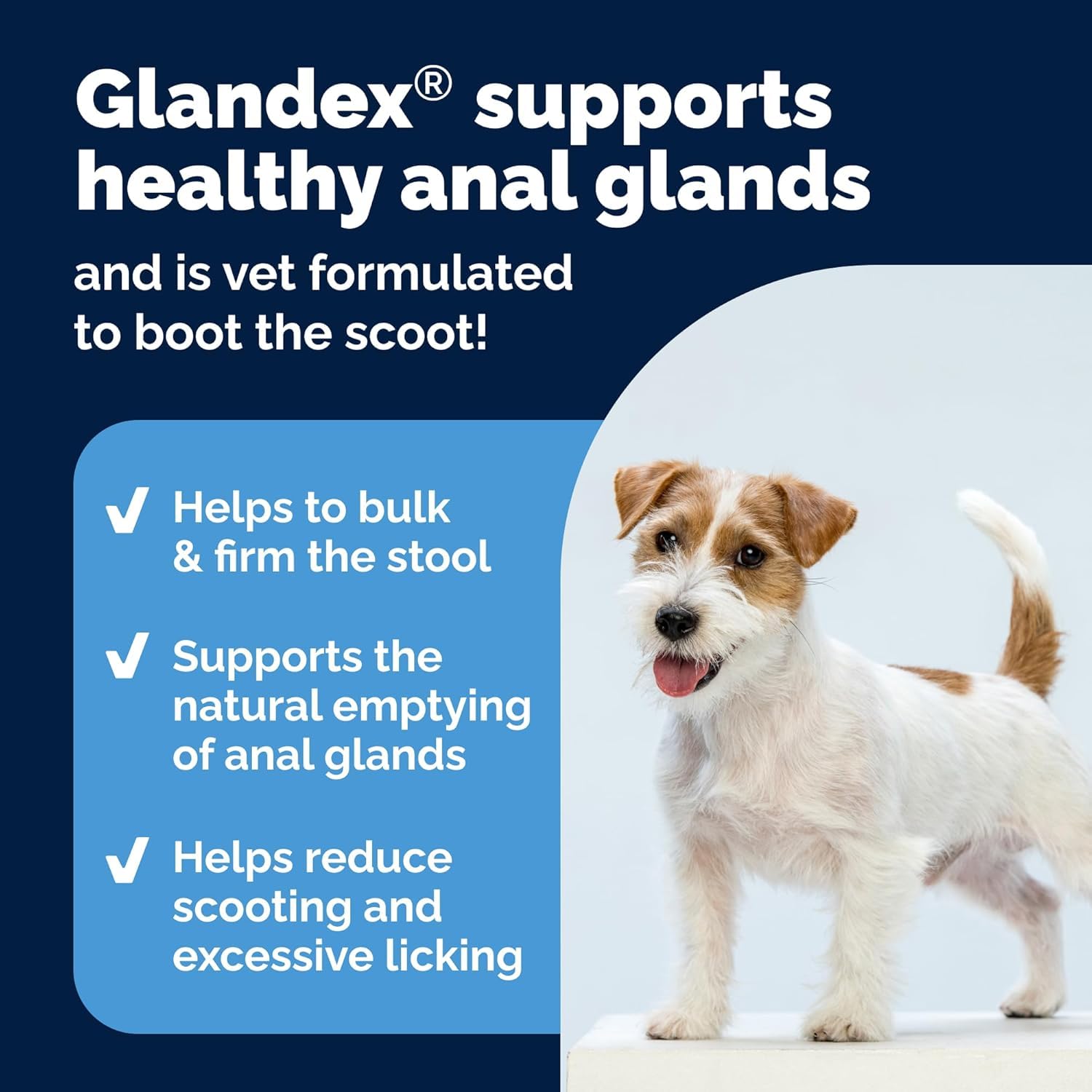 Vetnique Glandex For Dogs UK - 120 Soft Chews | Anal Gland Support & Digestive Health 4