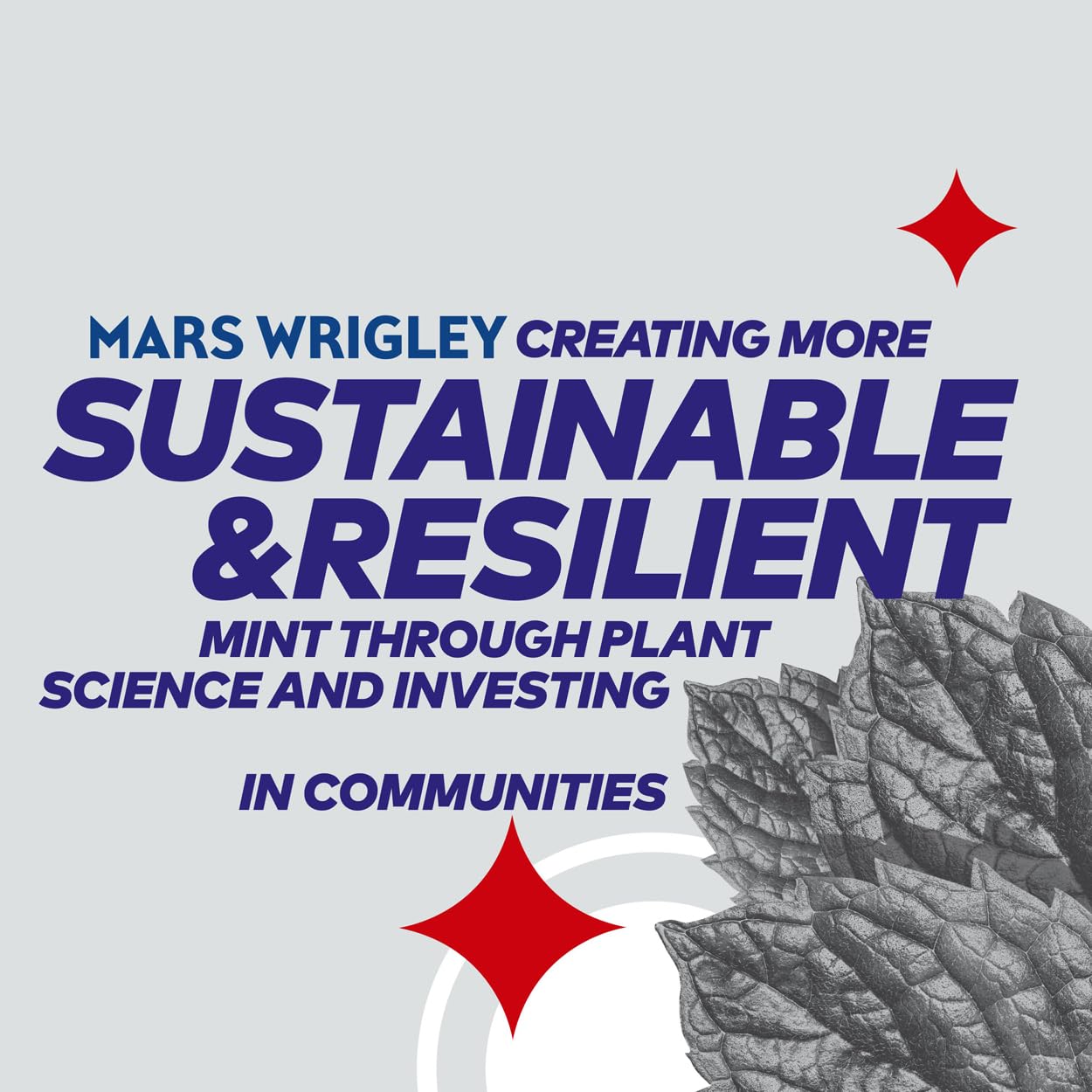 Extra - White Chewing Gum Sugar Free (5 x 10 Pieces) 6