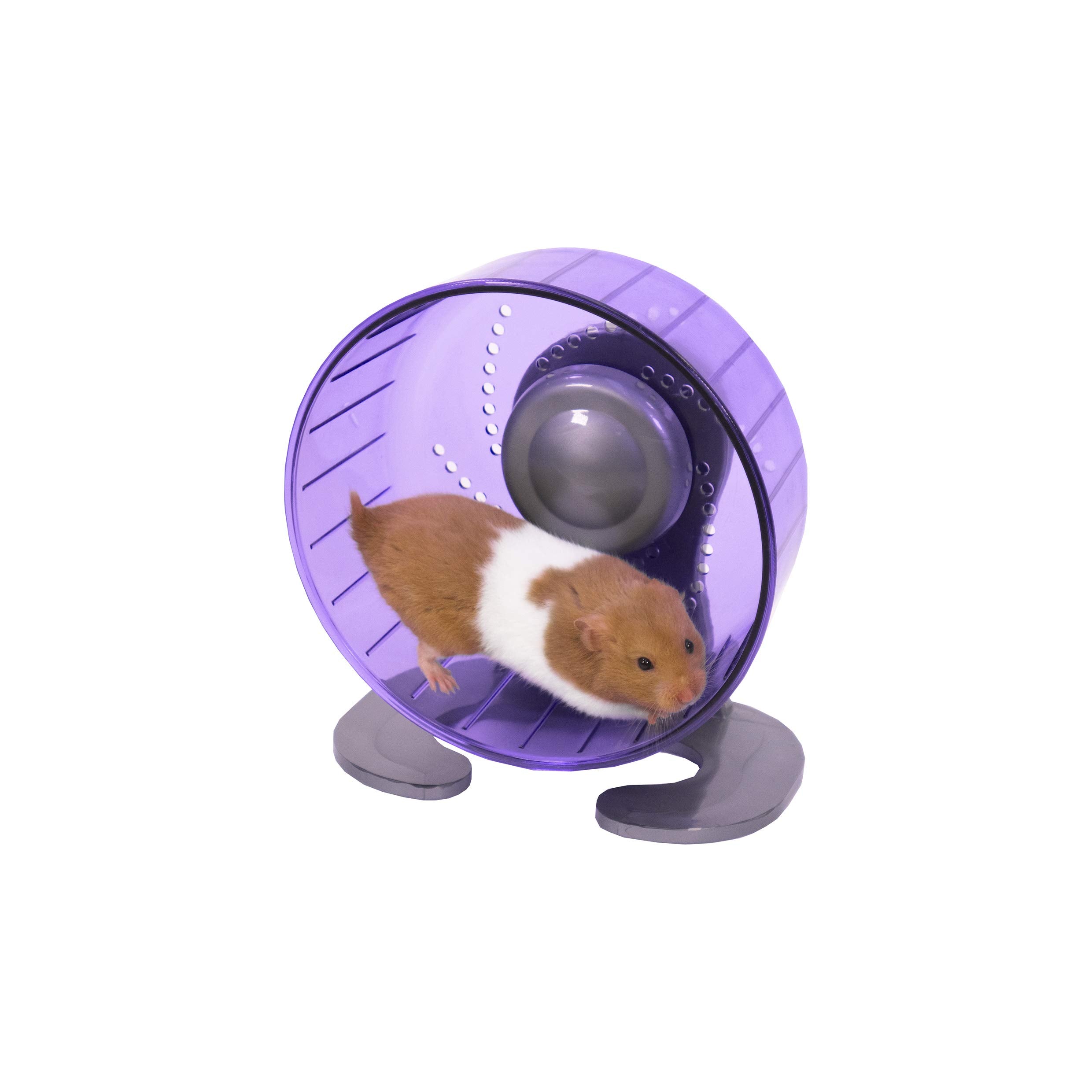 Rosewood Pico Exercise Wheel - 17cm Diameter | Free-Standing or Cage Mountable | Purple 3