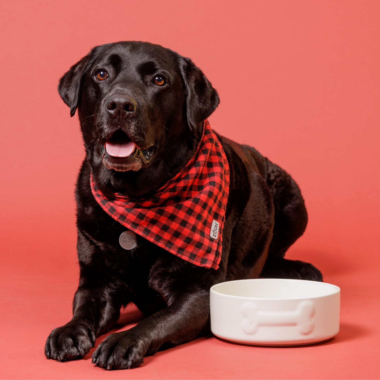 Mason Cash Colour Mix Cream Dog Bowl - 1.5 Litre | 20cm Diameter | Stoneware 2