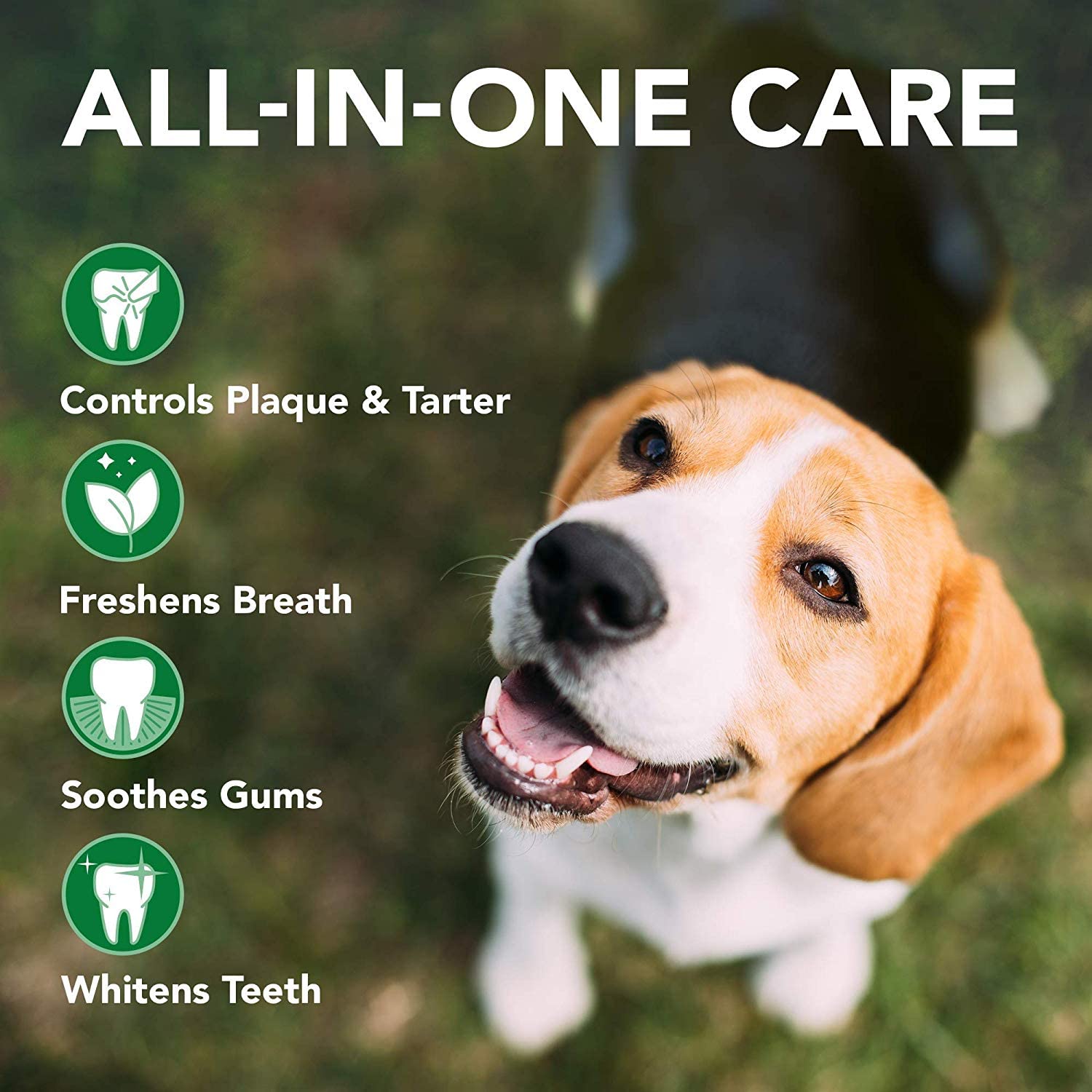 Vet's Best Puppy Dental Gel Toothpaste - Cleans Teeth & Freshens Breath | 100 g 5