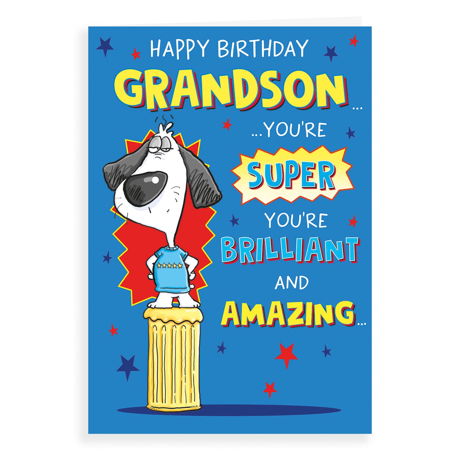 Piccadilly Greetings Humour Birthday Card for Grandson - 9 x 6 Inches | Made in UK 1